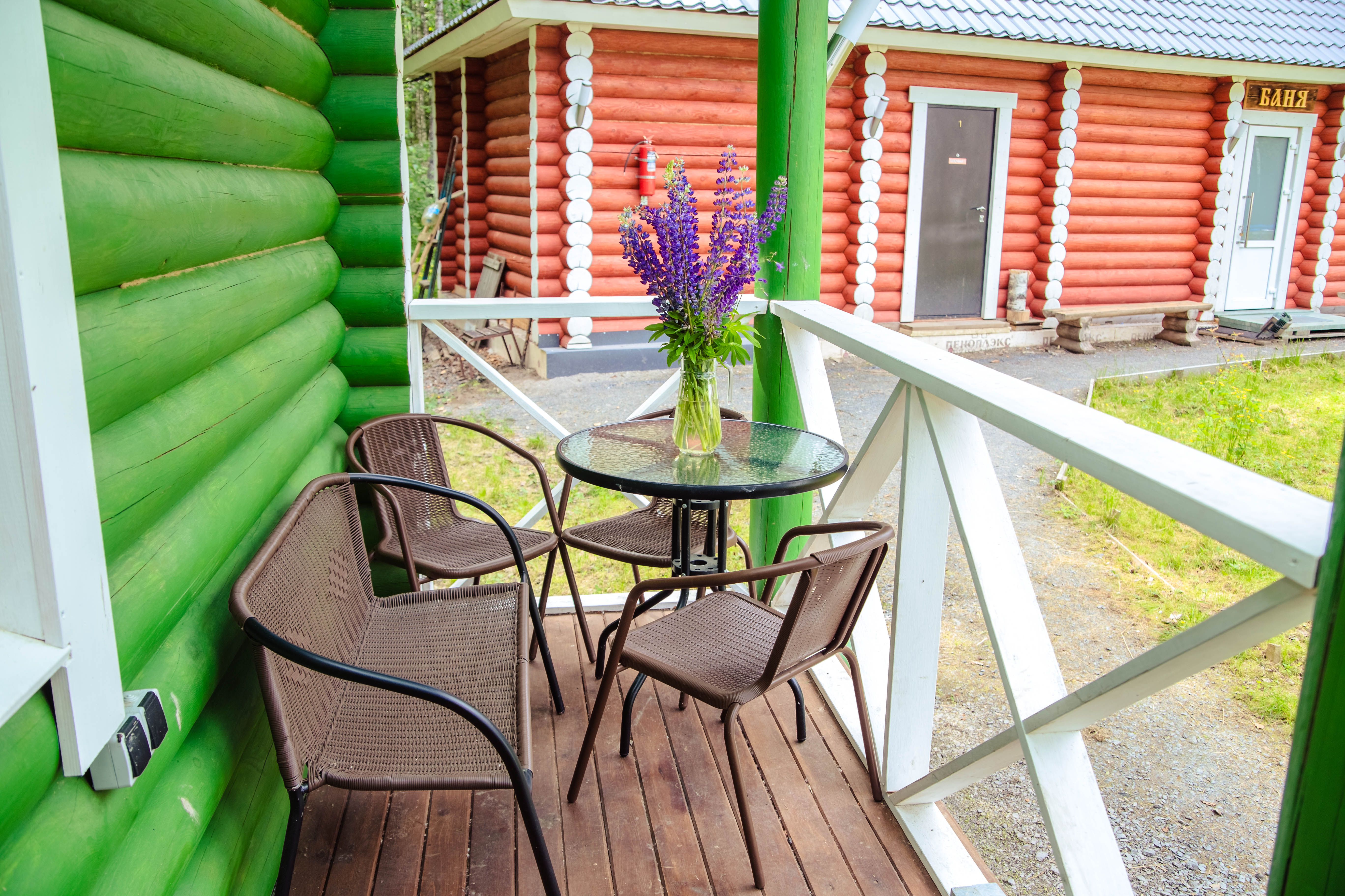 Дом с видом на лес