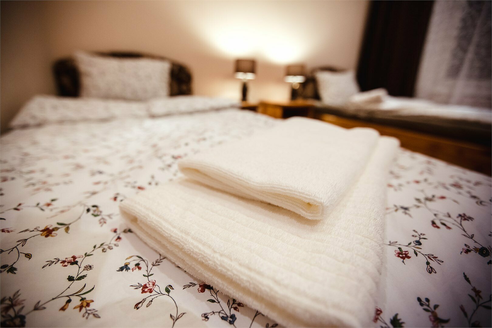 Twin Standard (Вид на Волгу)