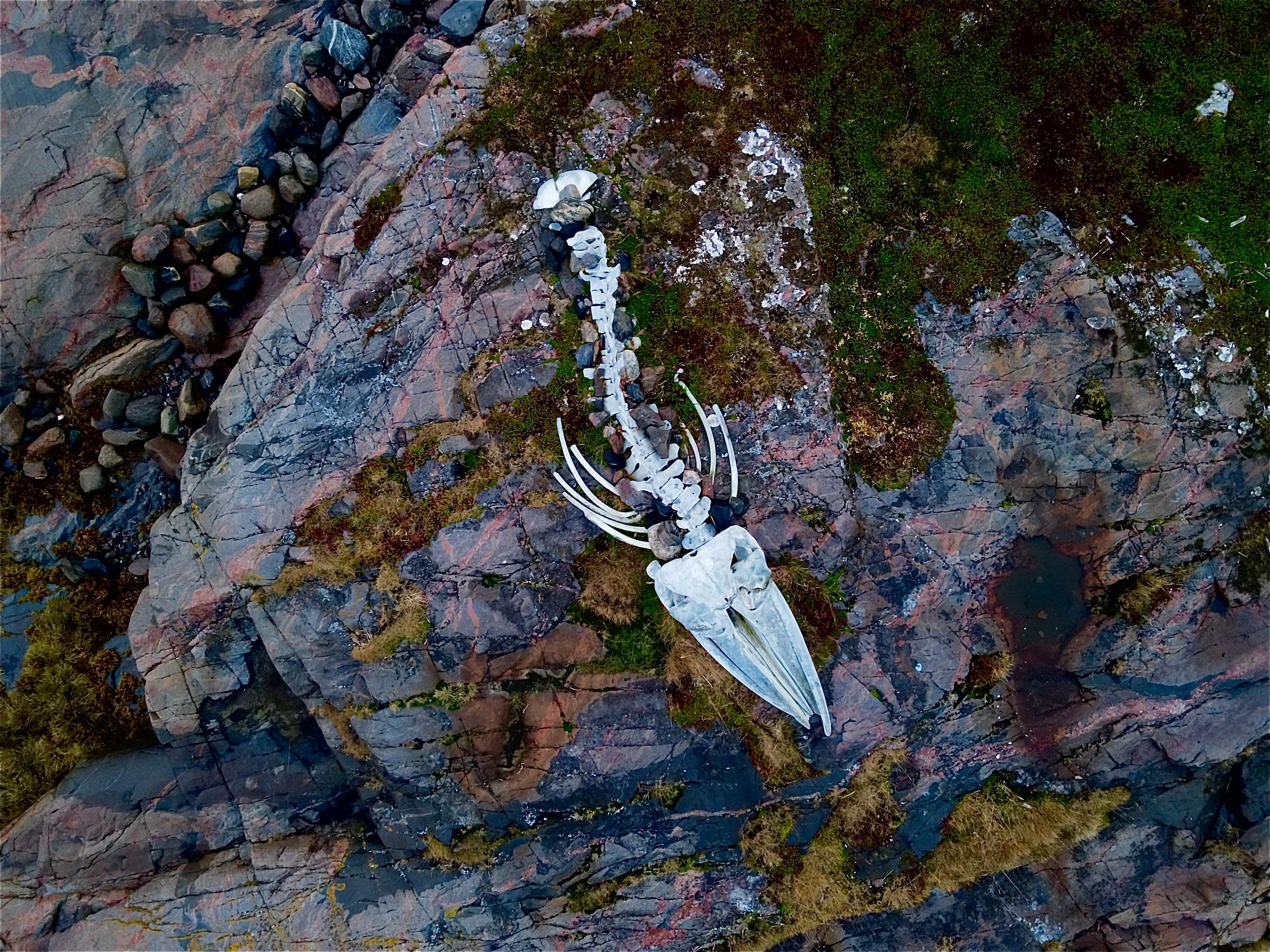 Дом с видом на море