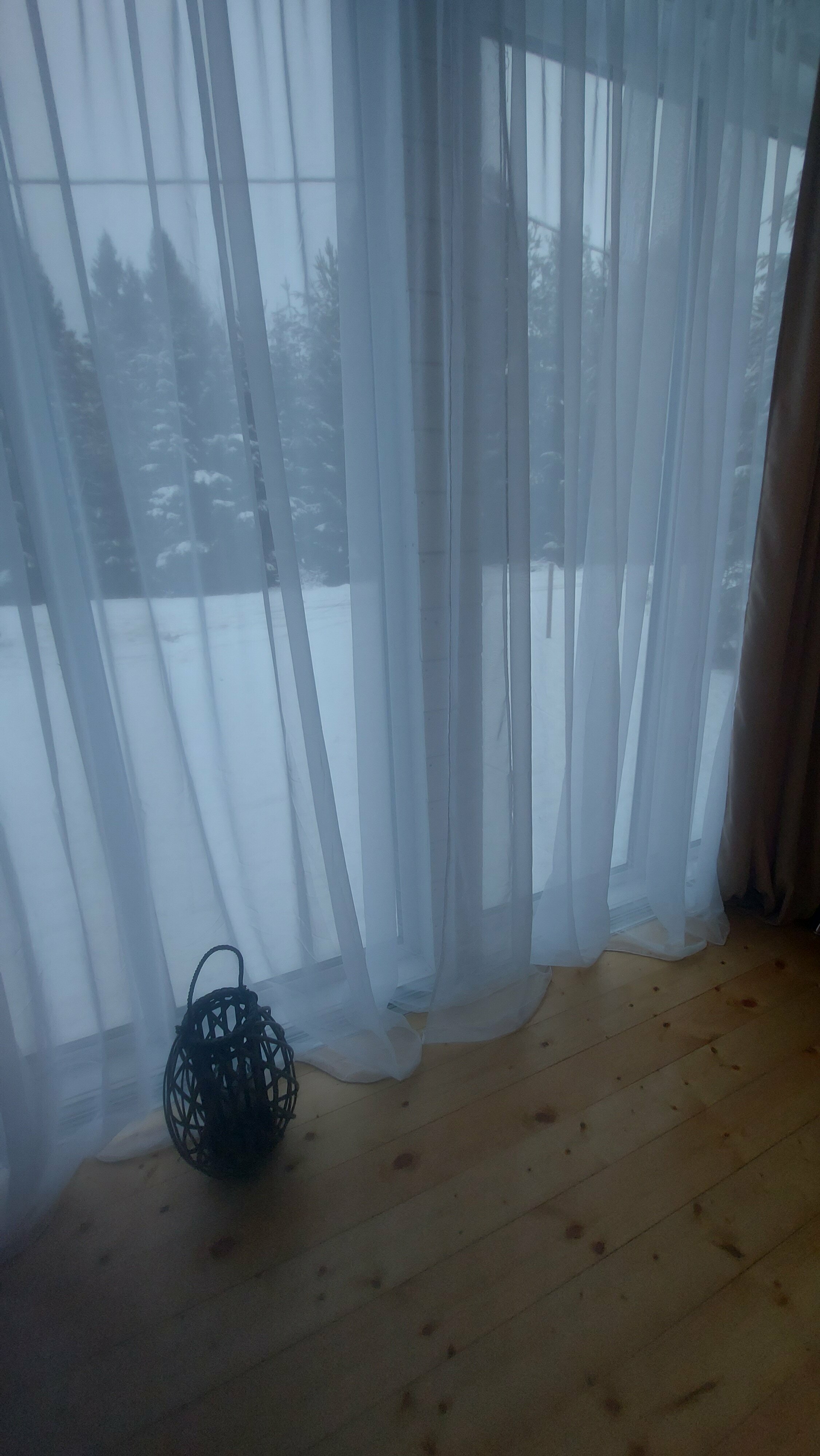 Дом с видом на лес