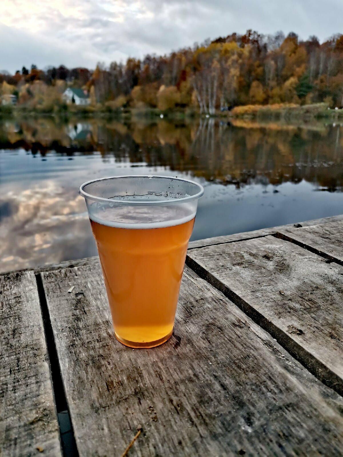 Дом с видом на лес