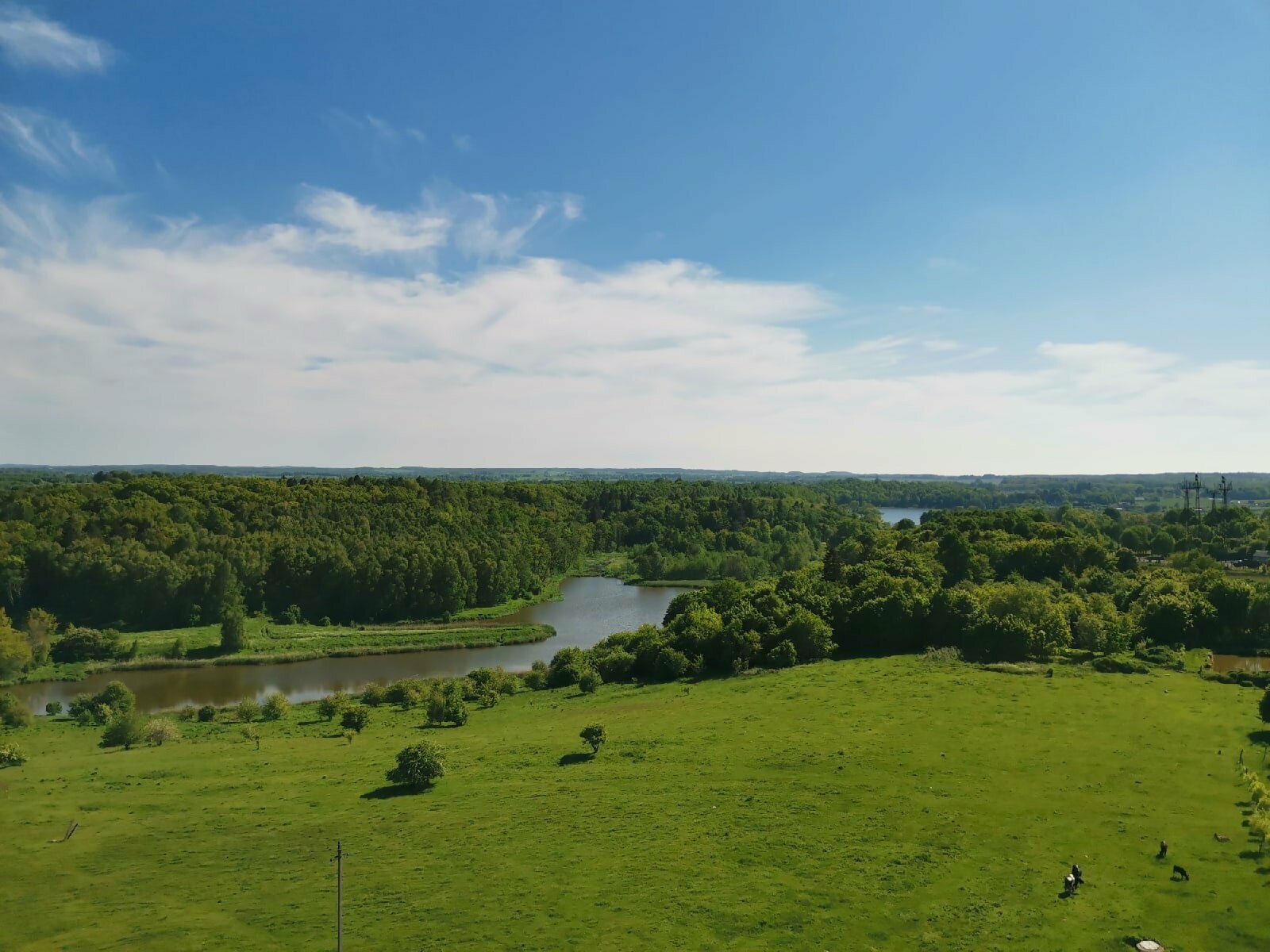 Дом с видом на лес