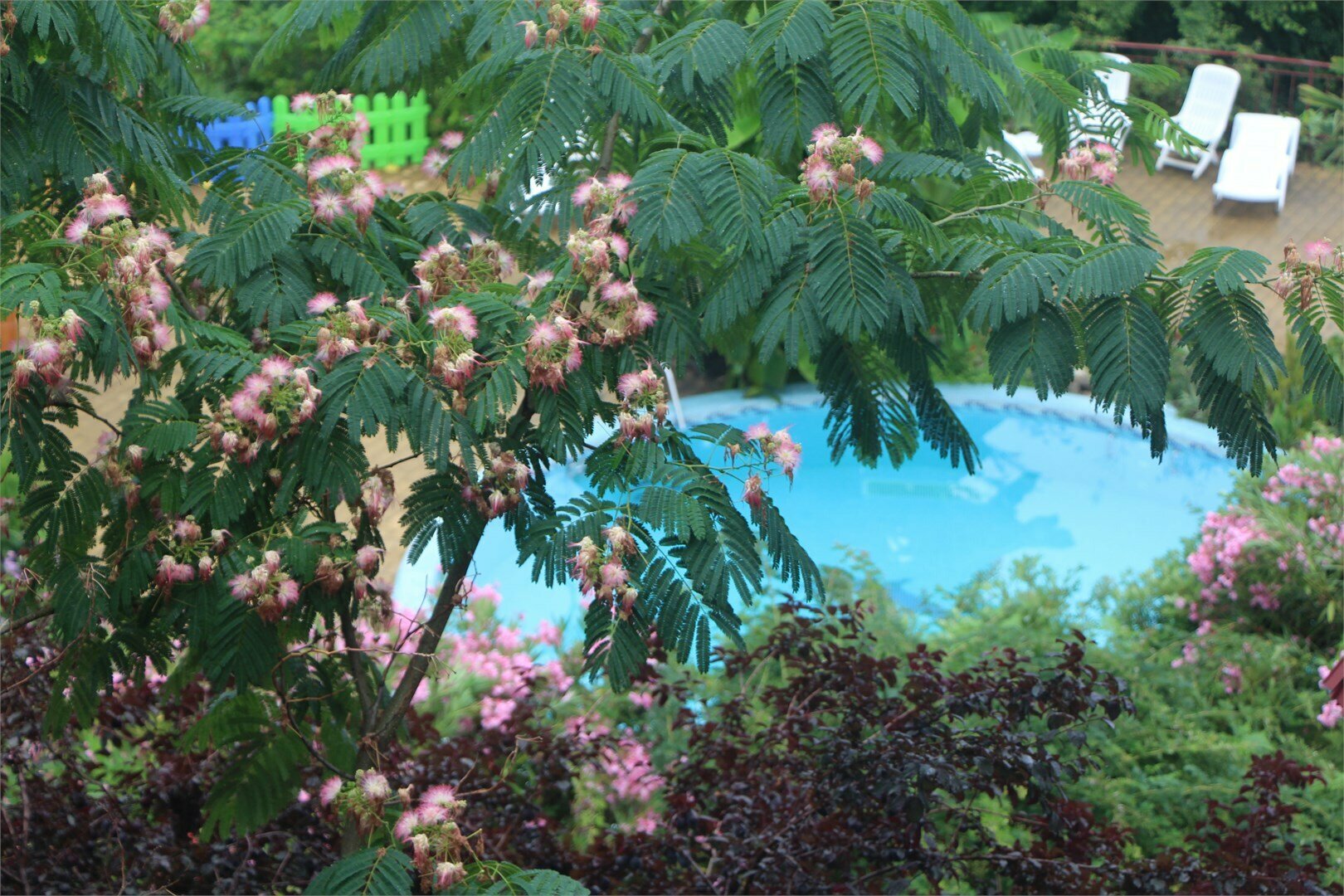 "Супериор" - с лоджией.