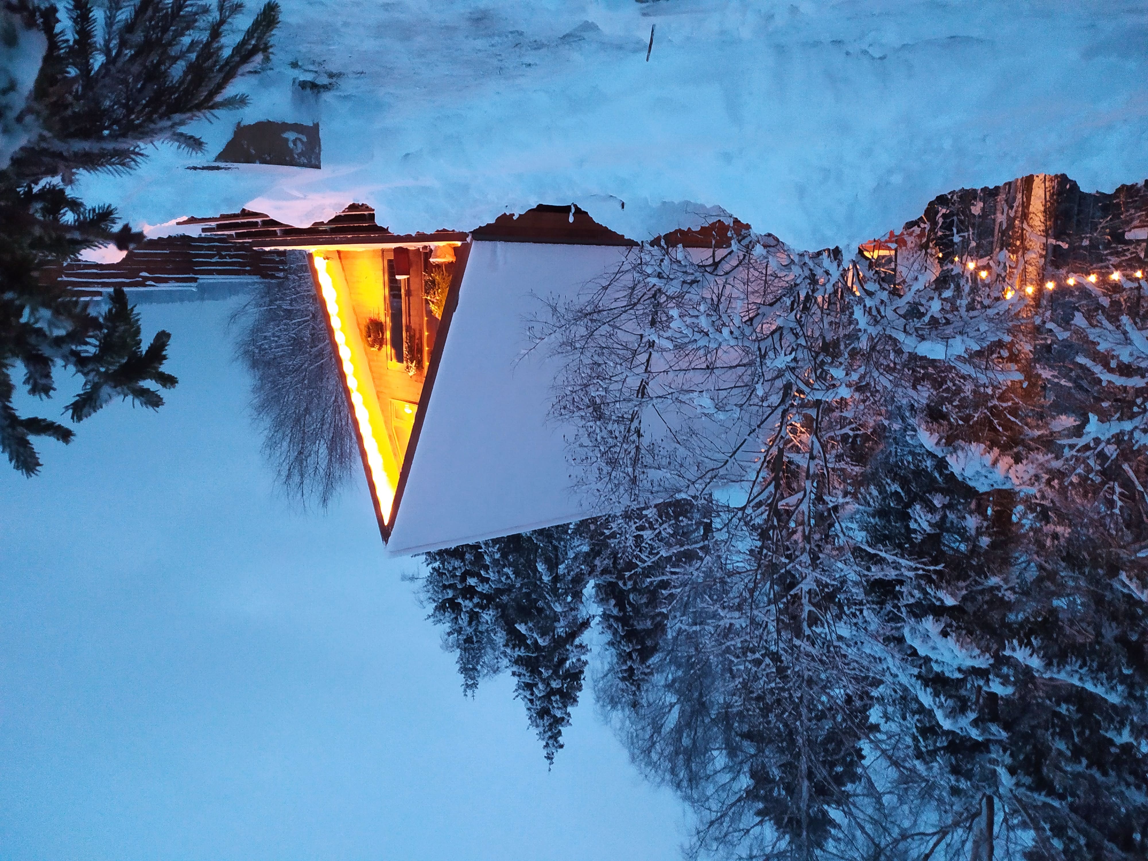 треугольный дом в лесу с высокой террасой и чаном