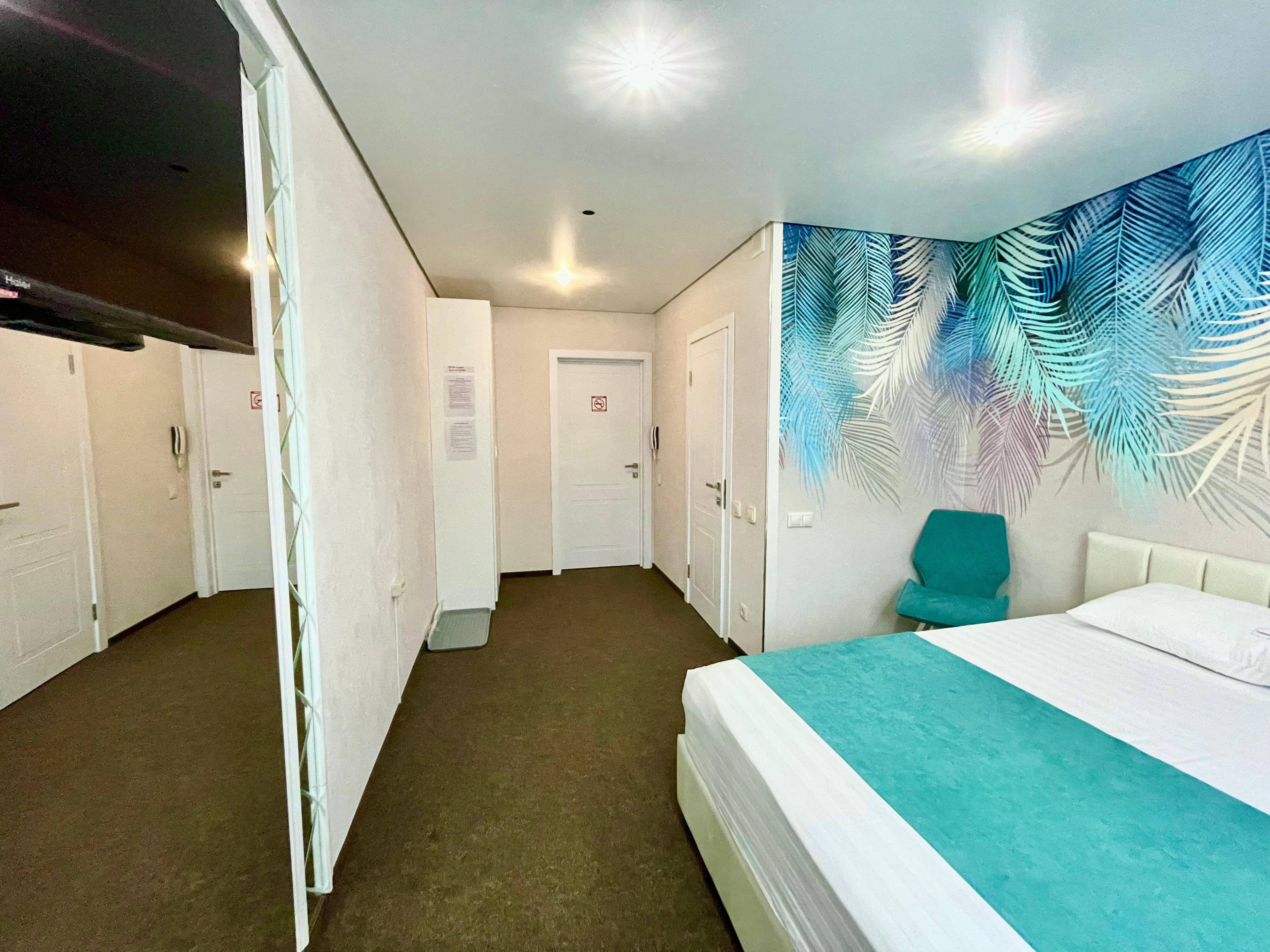 Двухместный номер Делюкс с 1 кроватью