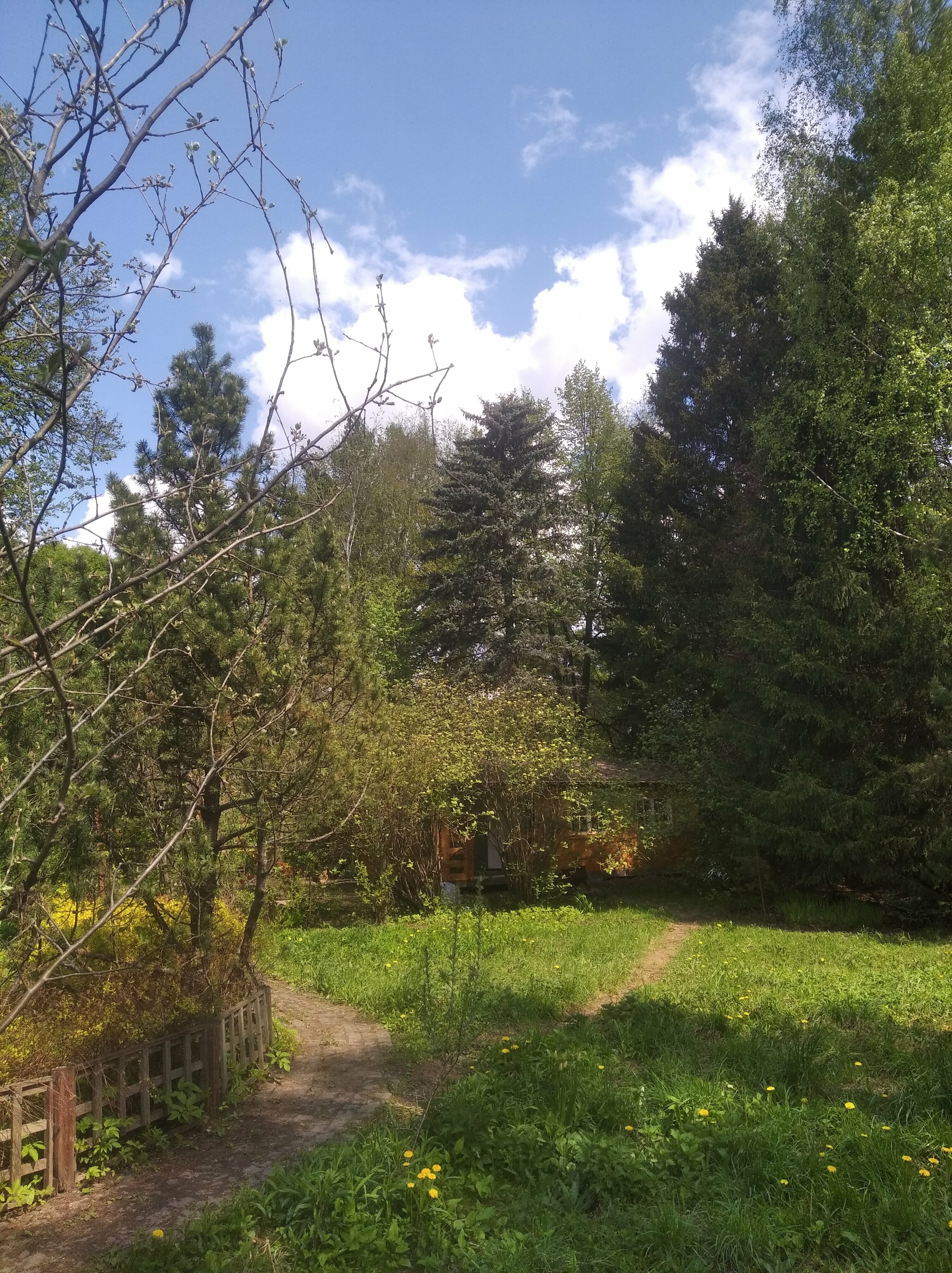 Трехместный номер с террасой