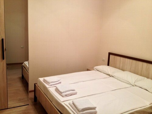 Двухместный номер эконом-класса с 1 кроватью в Гостевой дом Монэ