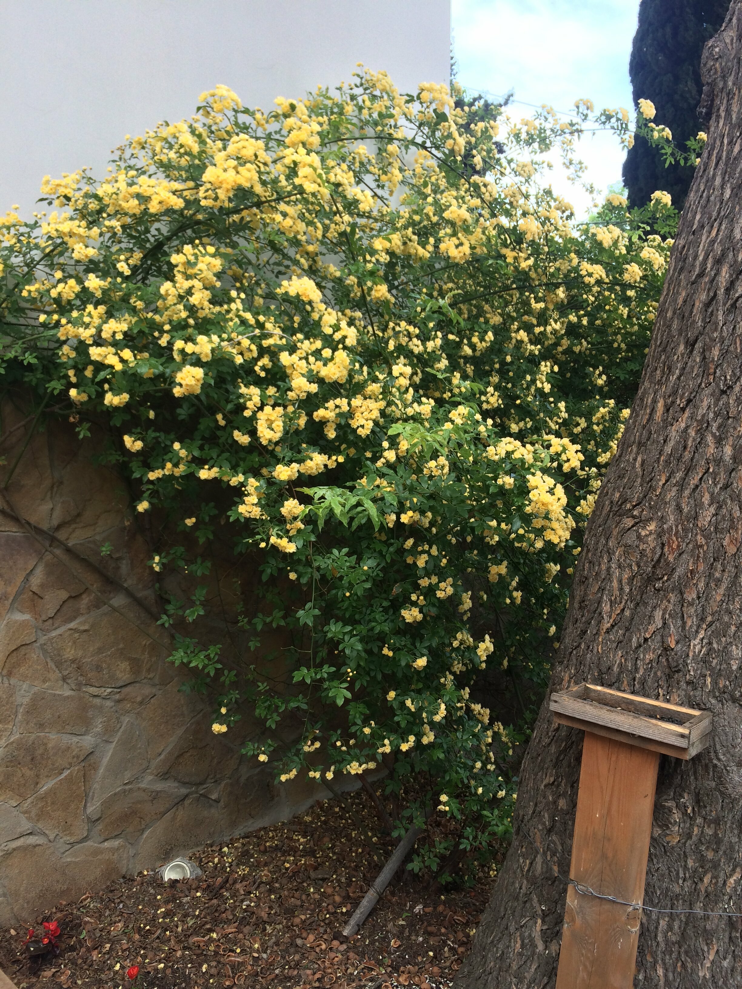 Двухместный номер с 1 кроватью и балконом, вид на море