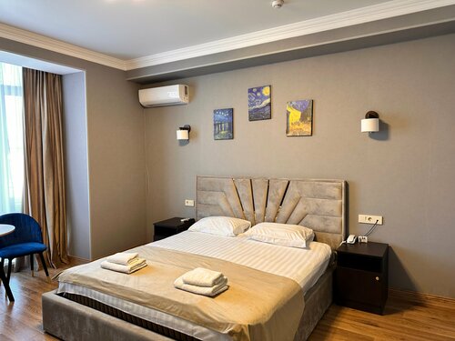 Двухместный номер Делюкс с 1 кроватью