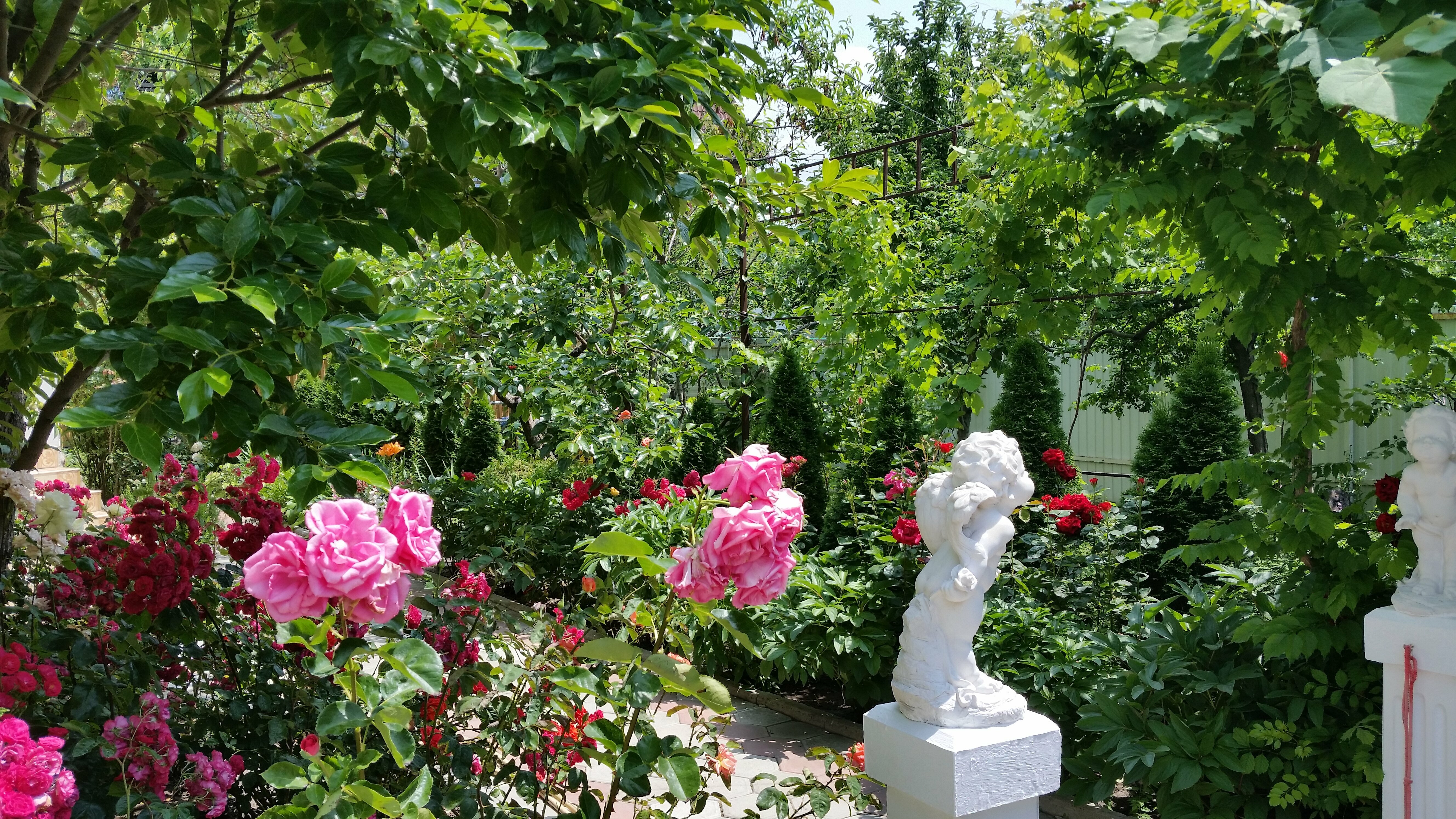 Двухместный номер с 1 кроватью и видом на сад