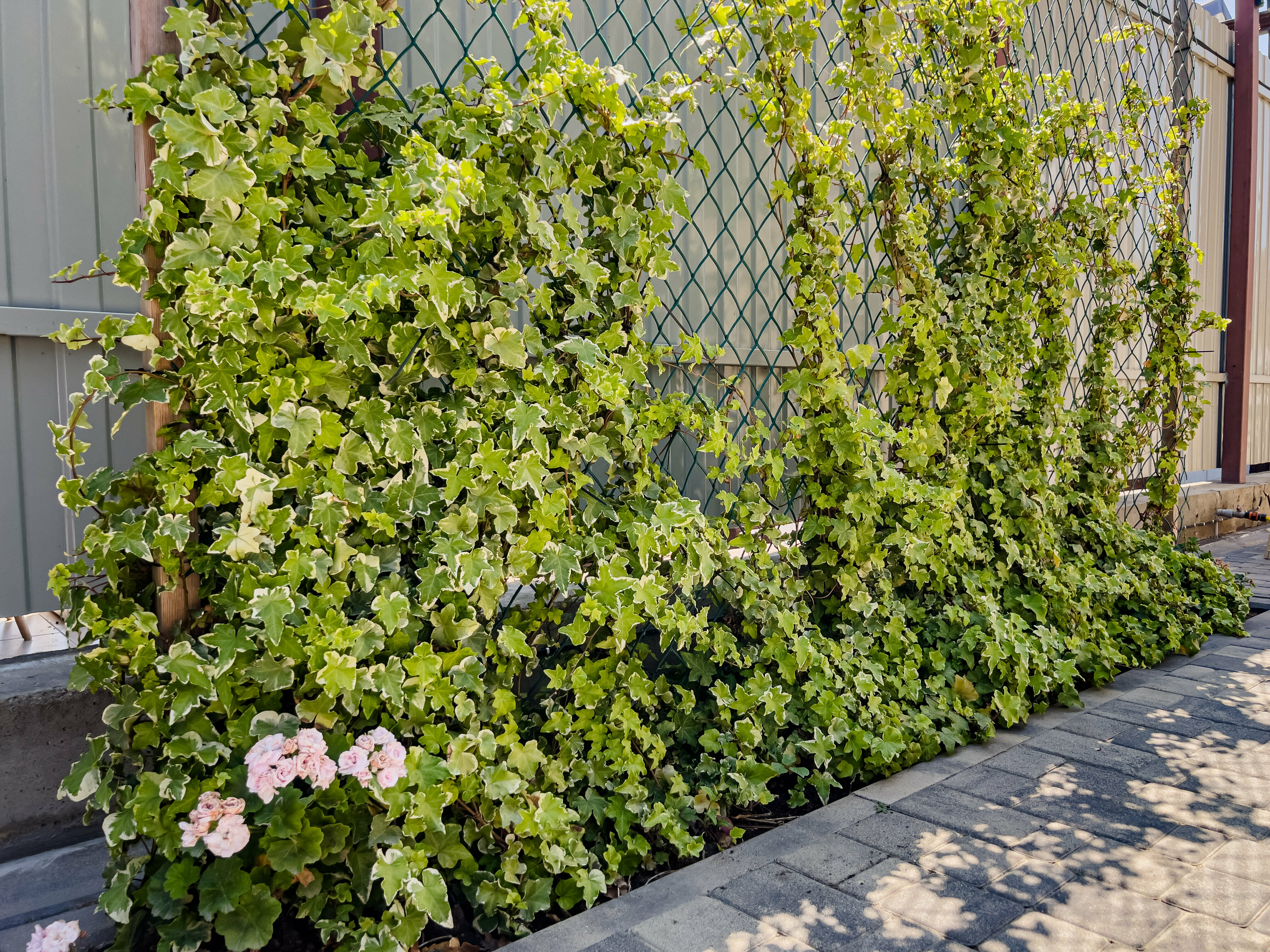 Семейный номер-студия