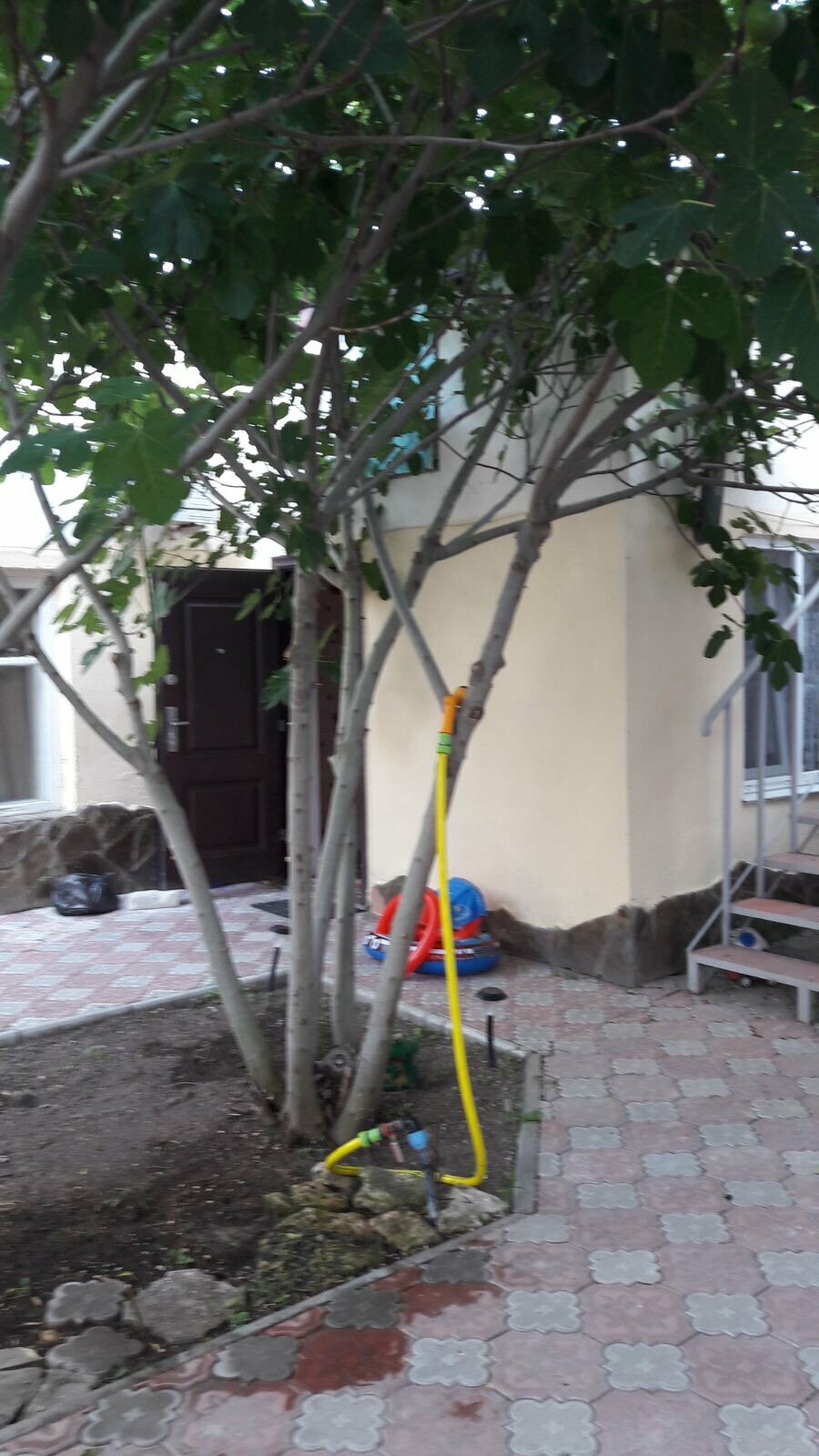 Семейный номер