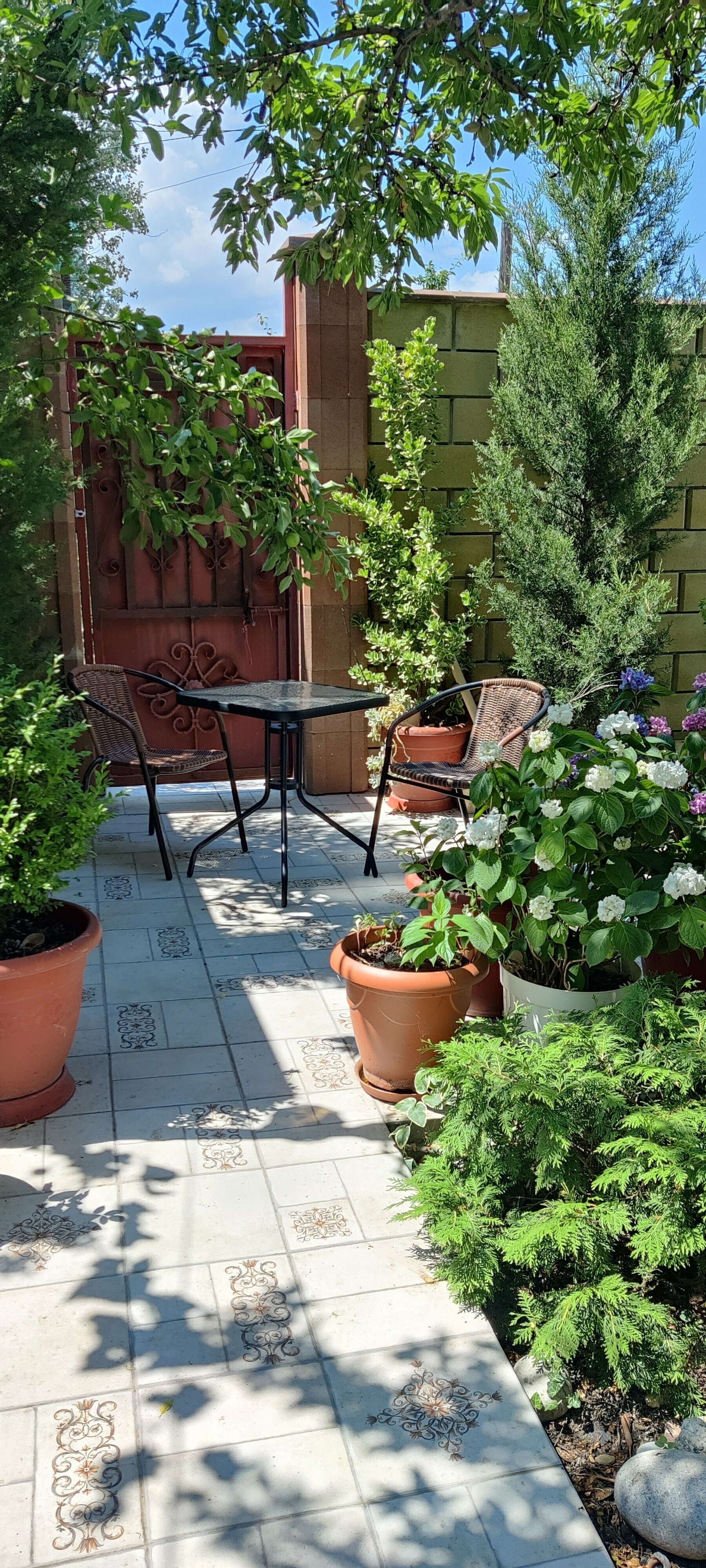 Номер-студия с балконом