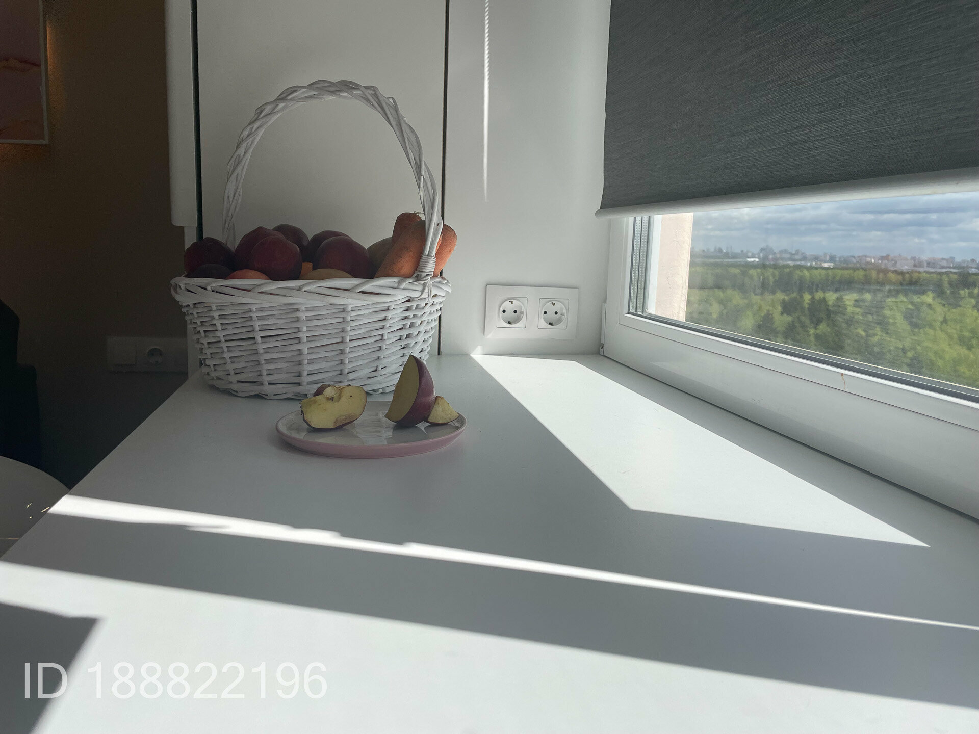 Двухместный номер с 1 кроватью и видом на парк