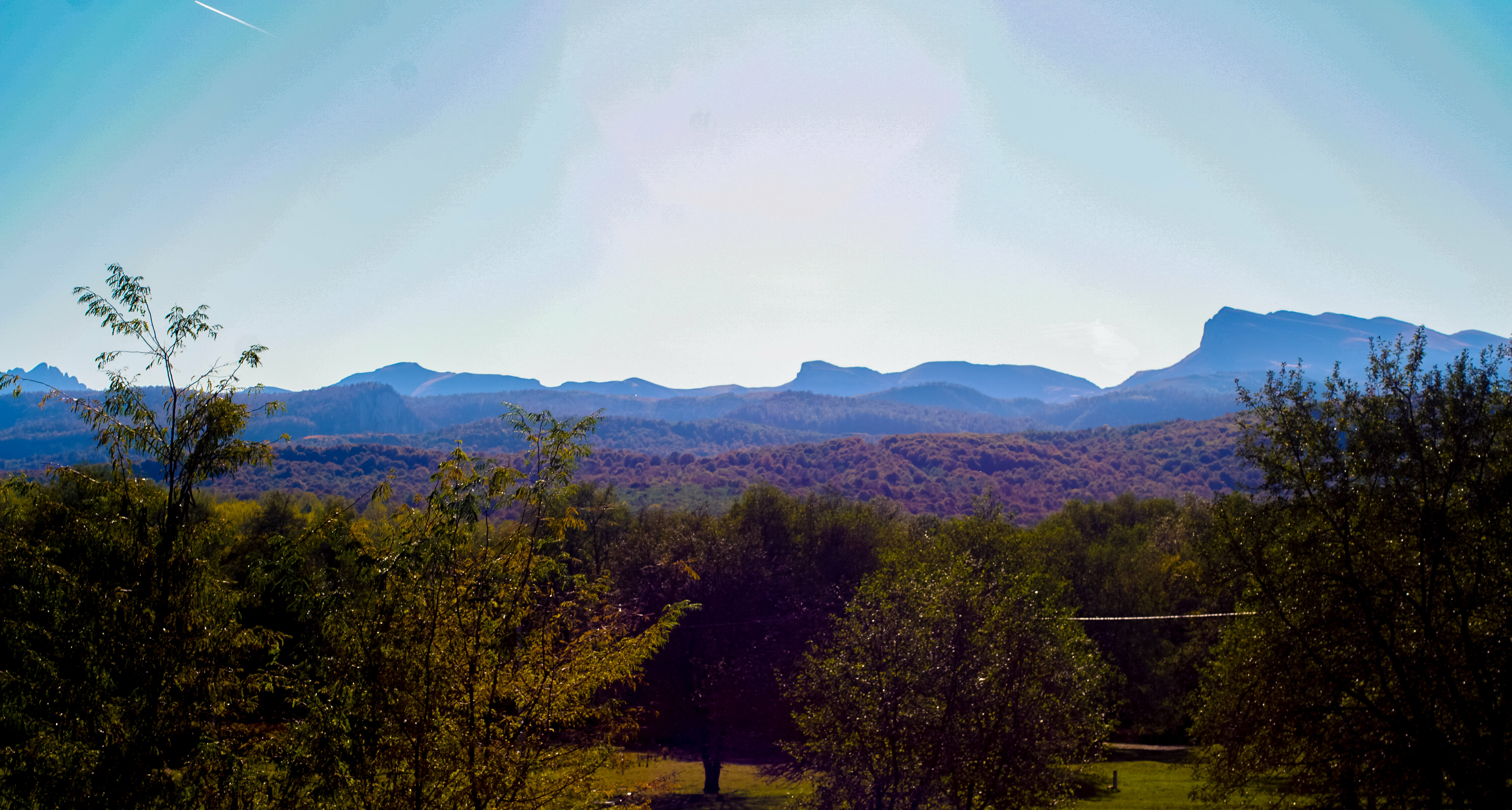 Дом с собственным бассейном