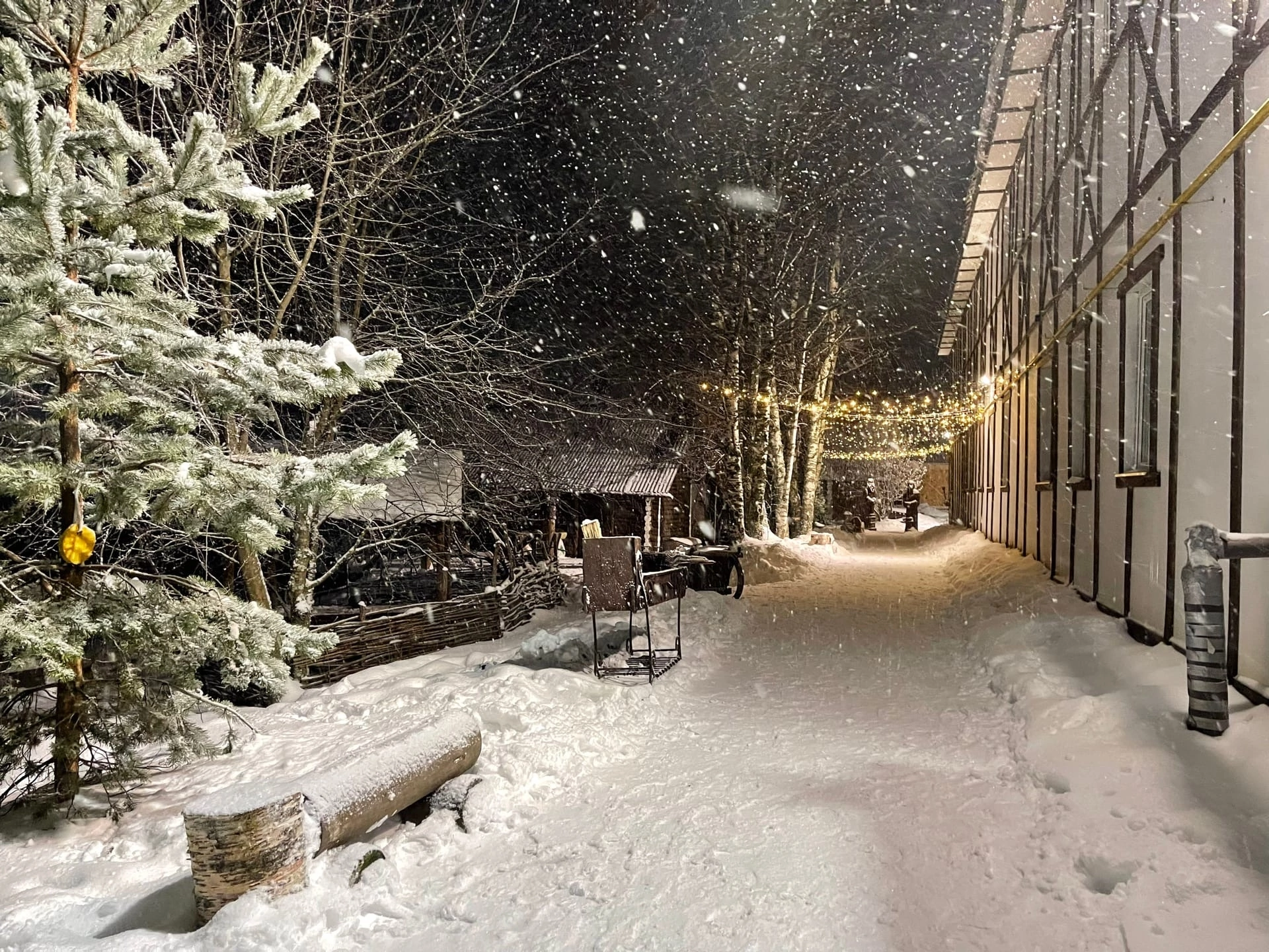 Общий номер для мужчин и женщин