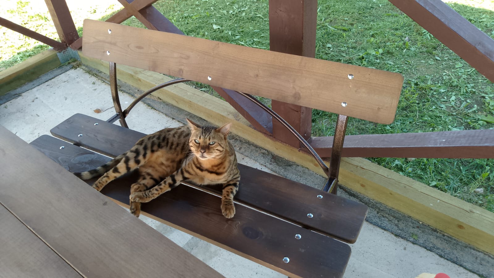 Бюджетный трехместный номер