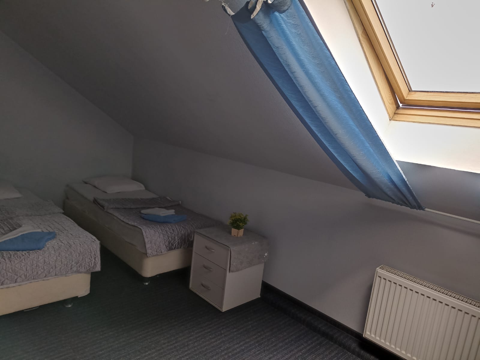 Двухместный с 1 кроватью или 2 отдельными кроватями и душем