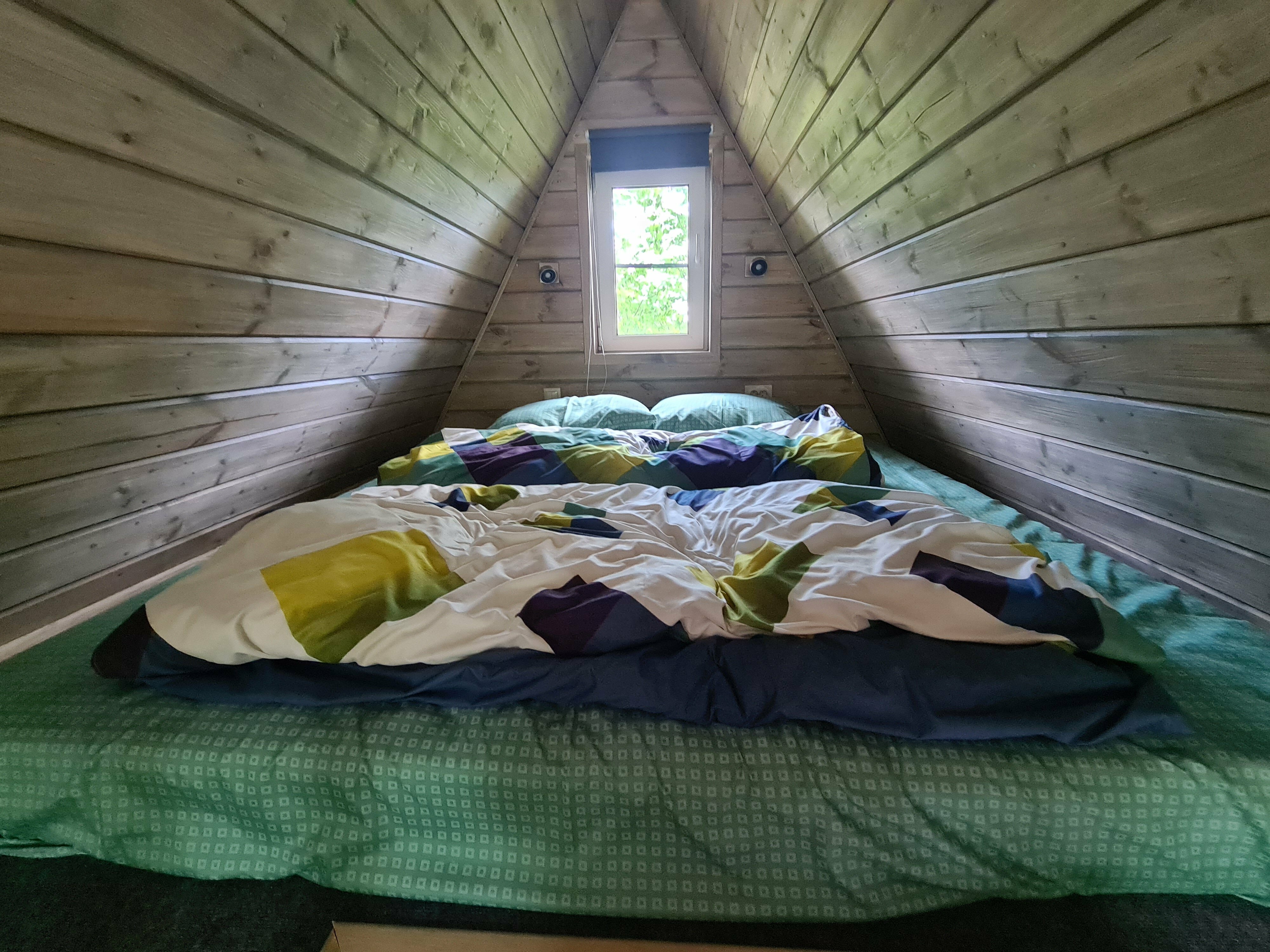 Дом с видом на лес