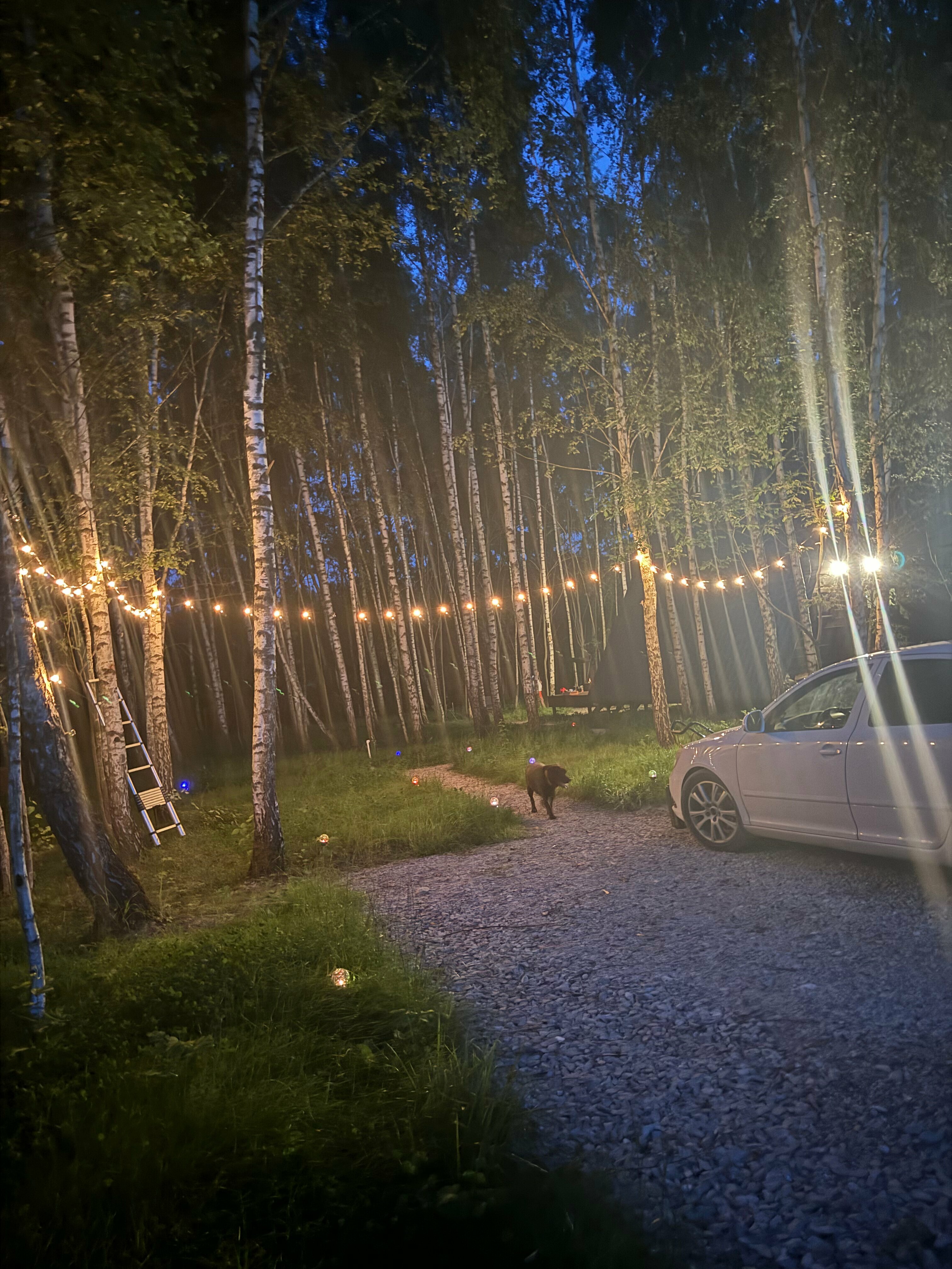 Дом с чаном (чан оплачивается отдельно, стоимость услуги 5500)