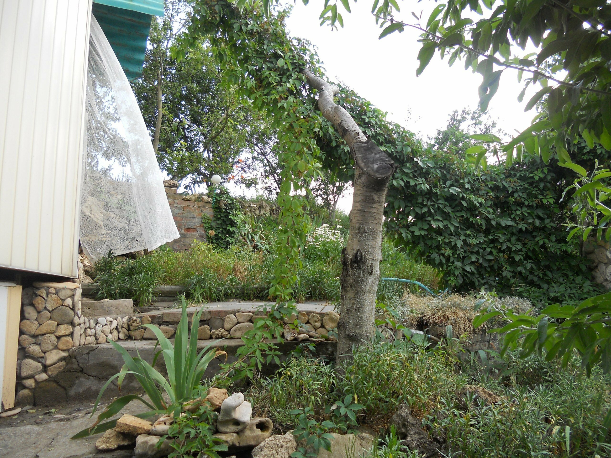 Трехместный номер с балконом