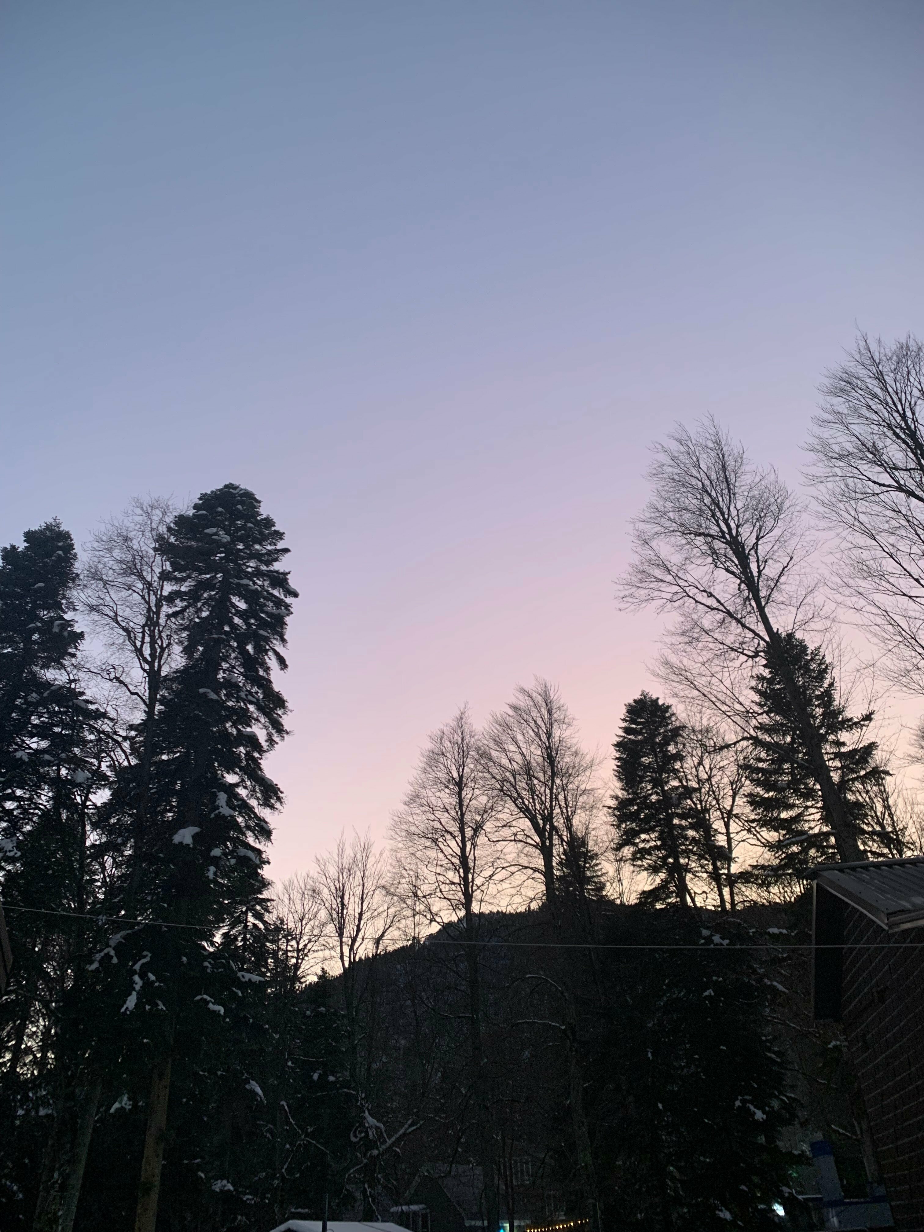 Апартаменты - 1-й этаж