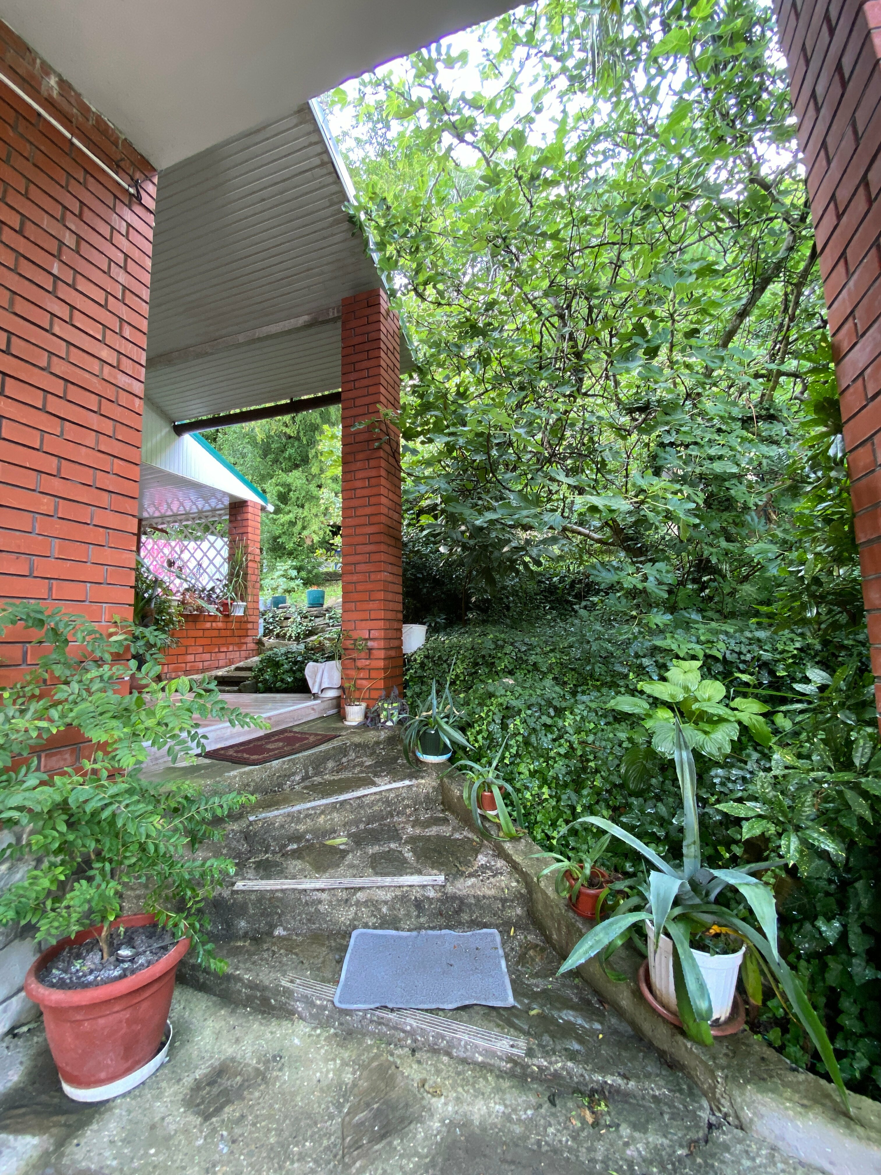 Апартаменты с видом на море