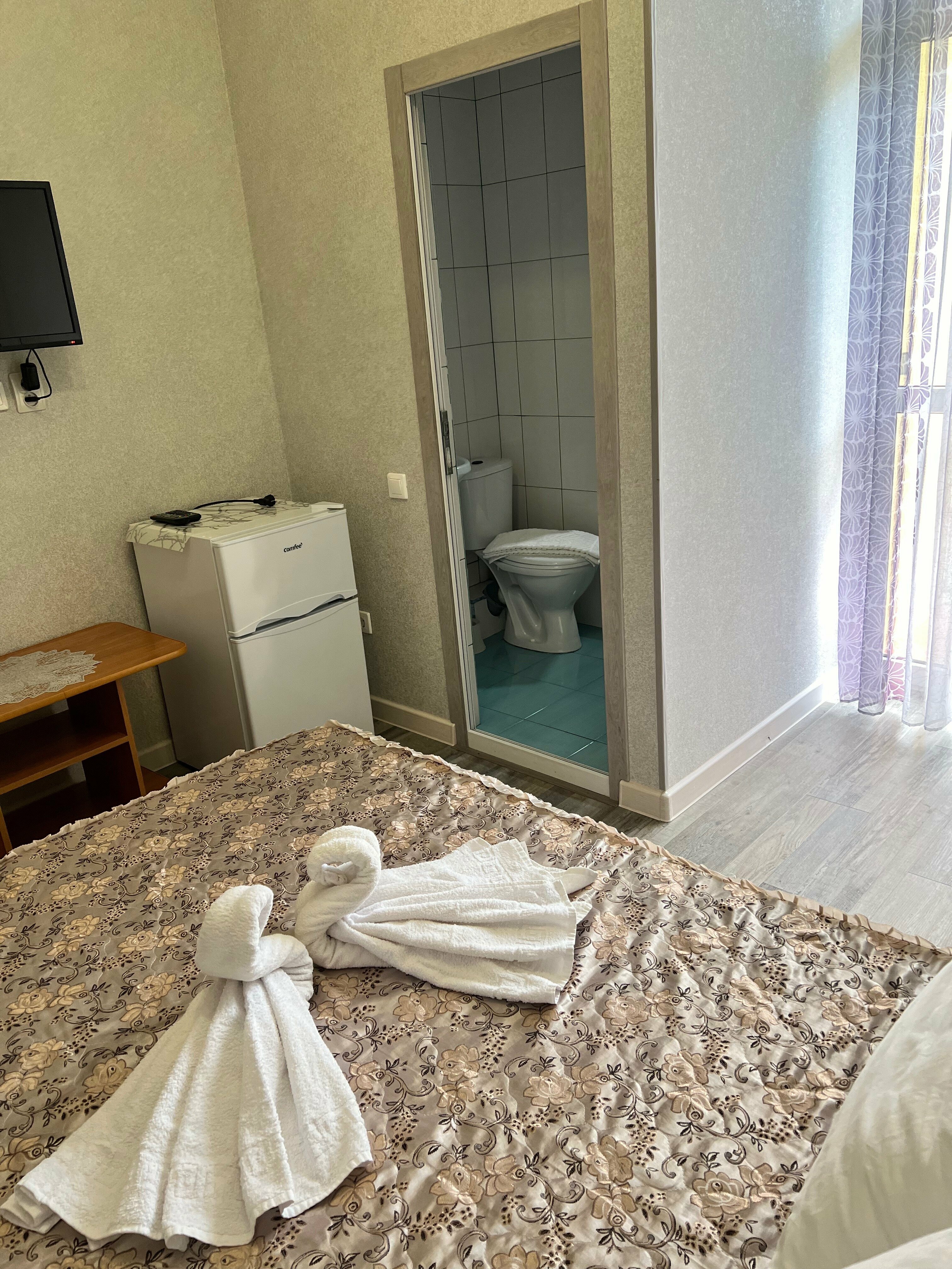 Двухместный номер с 1 кроватью и балконом