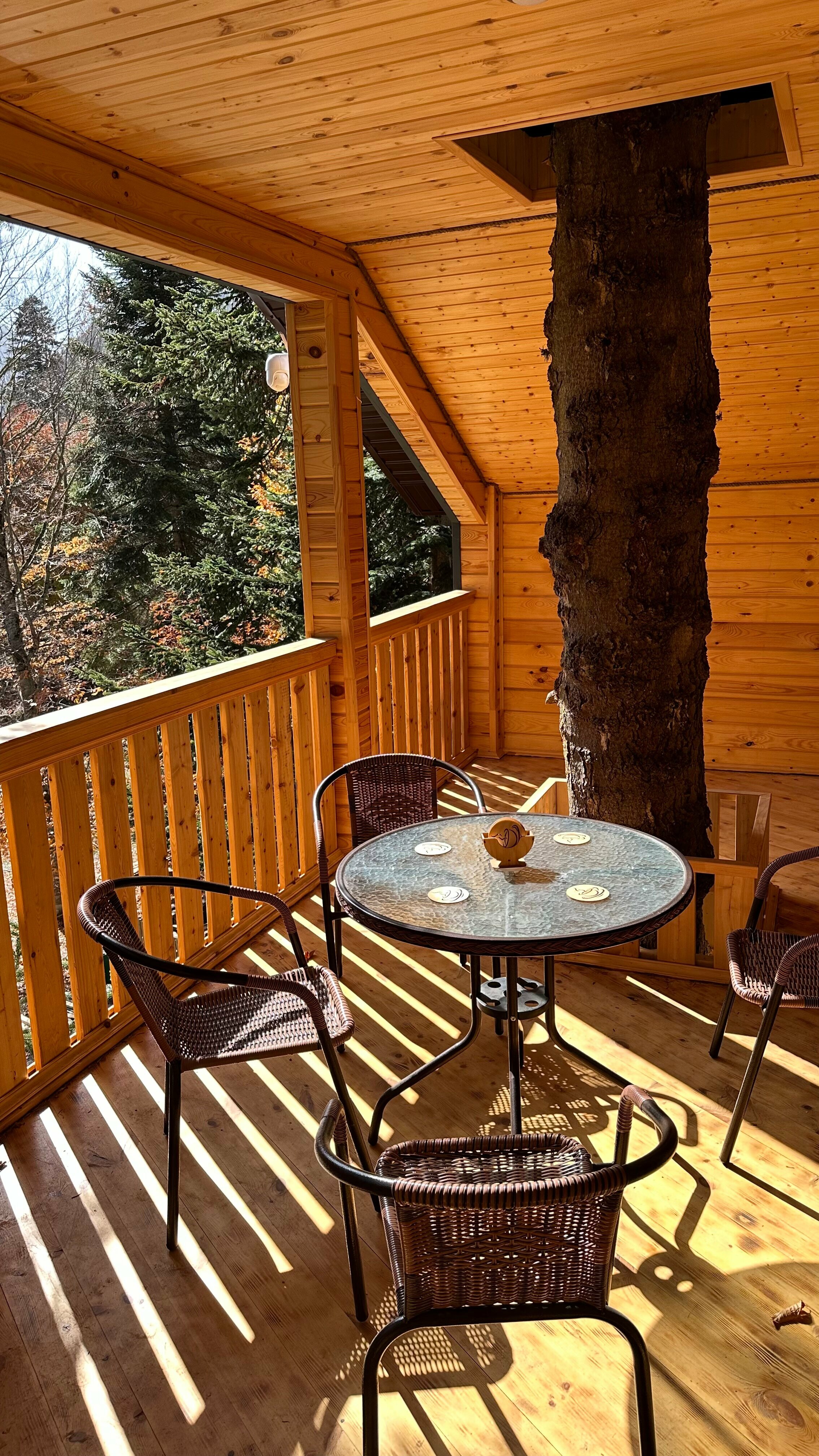 Номер-студия с видом на горы