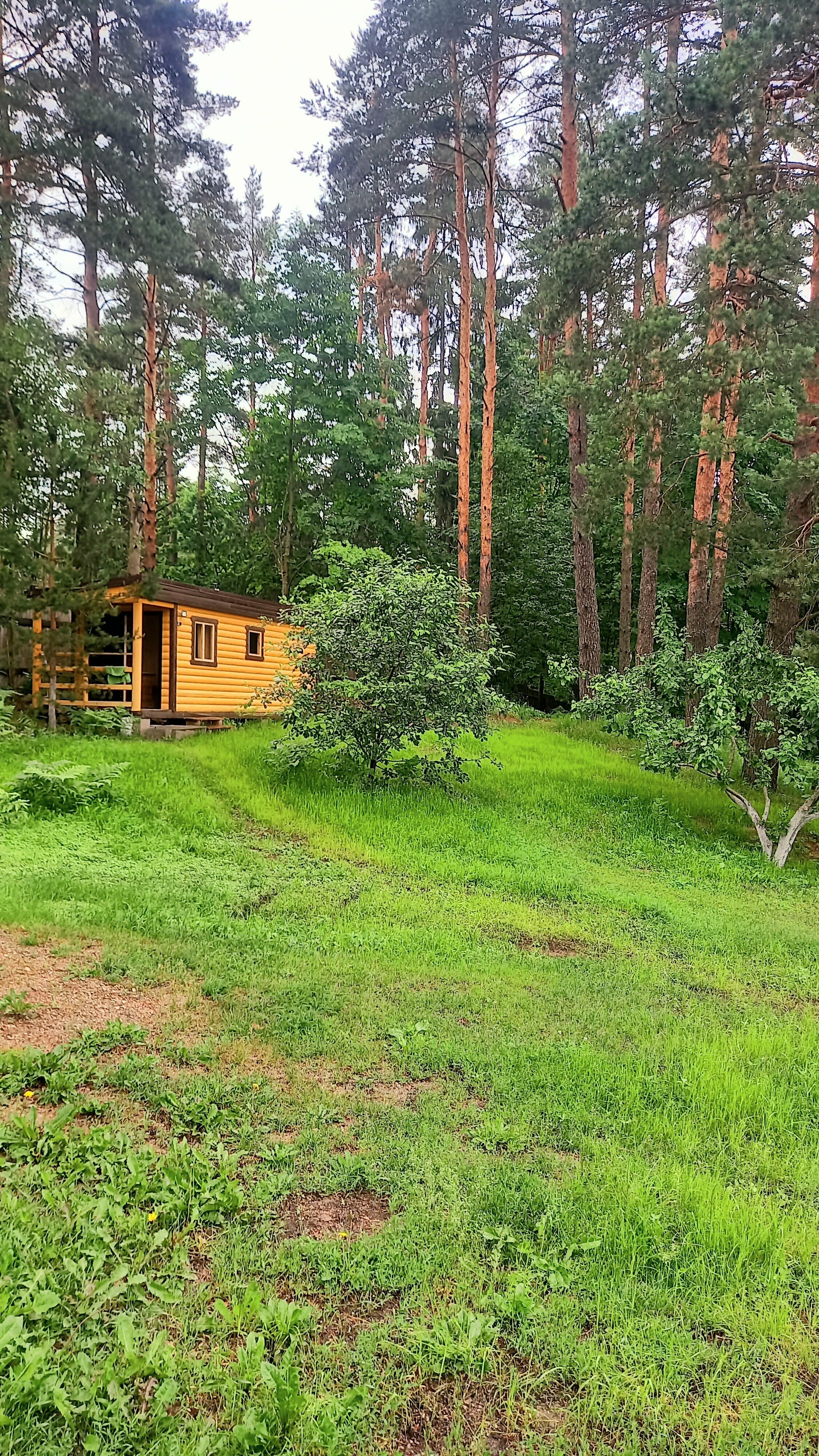 Дом для отпуска