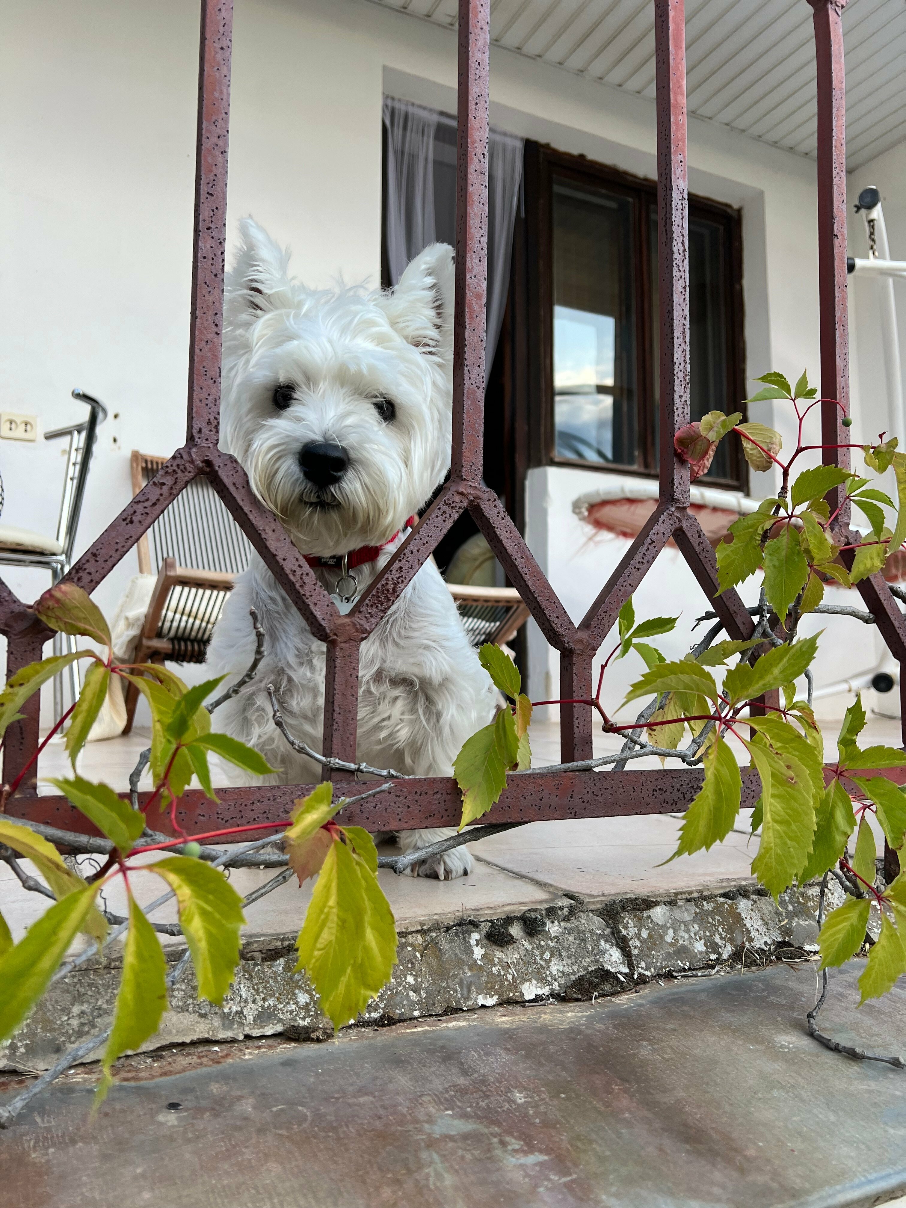 Четырехместный номер с видом на горы