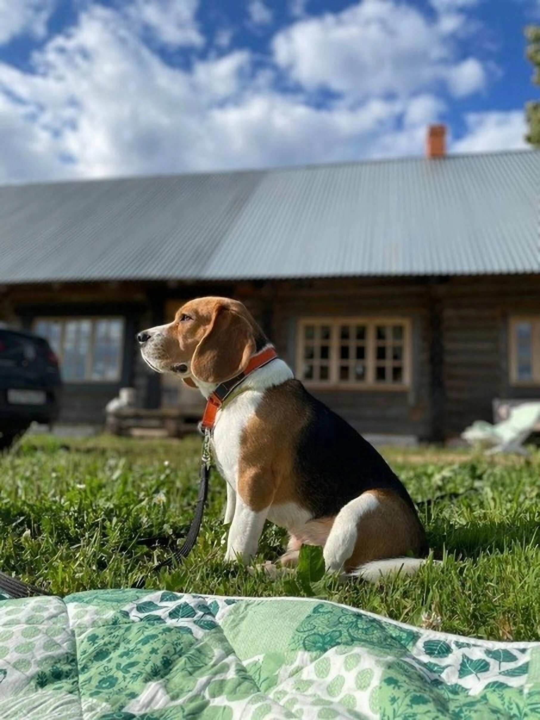 Дом с 2 спальнями