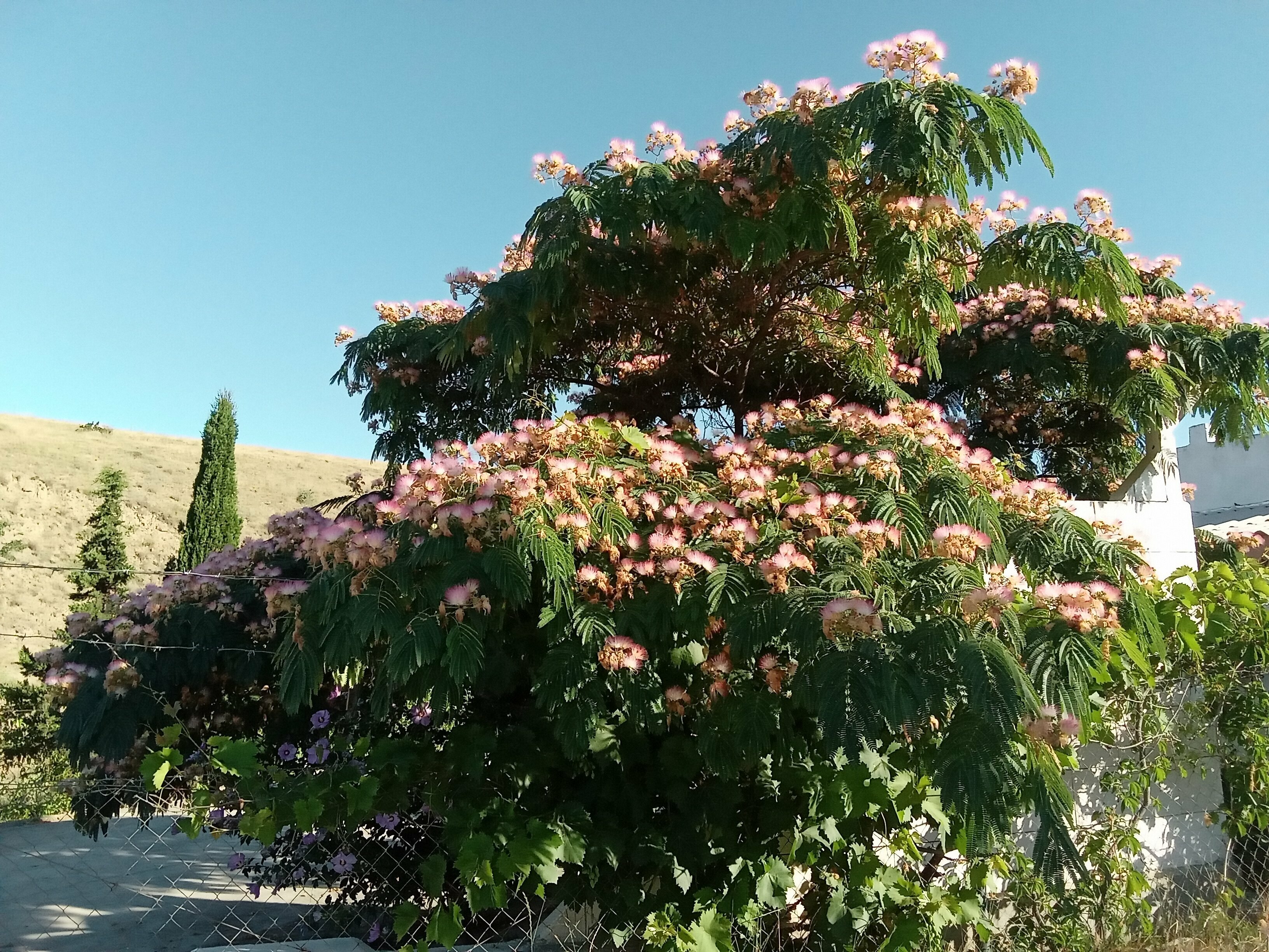 Коттедж – Рядом с пляжем