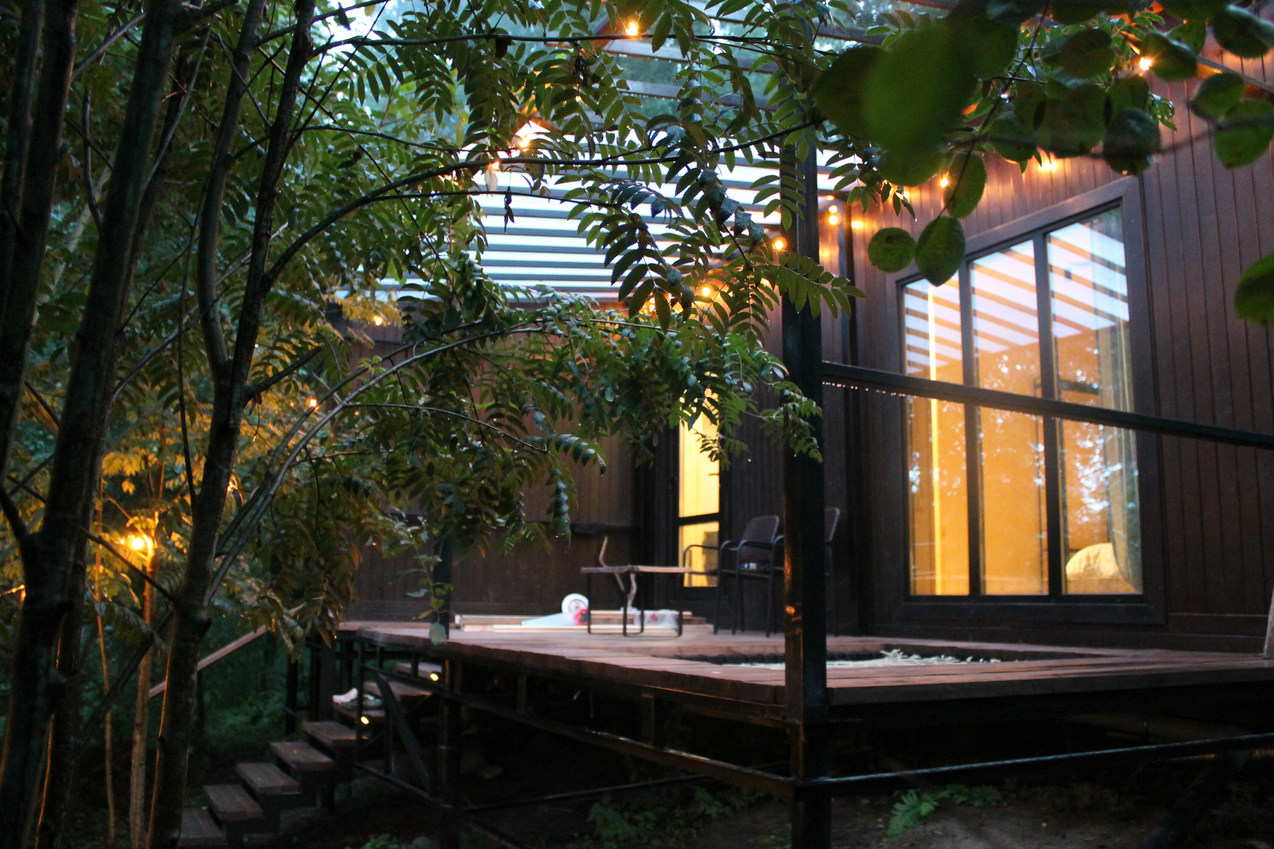 дом в лесу с ванной у панорамных окон