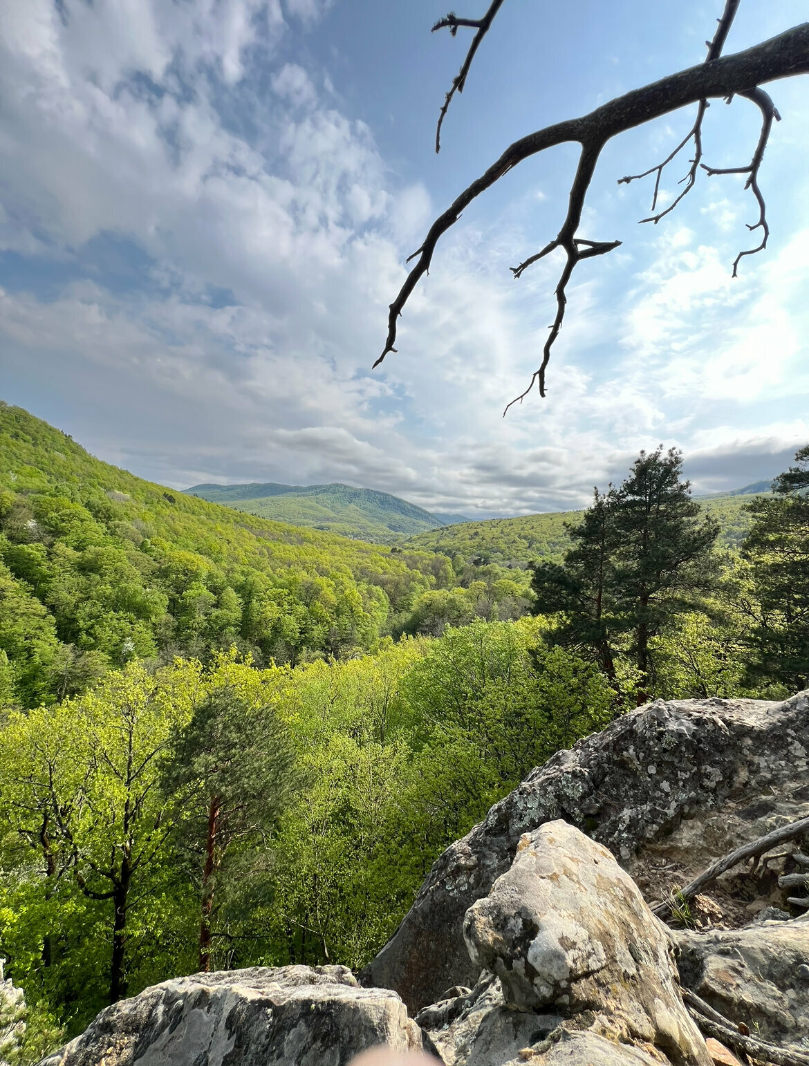 дизайнерский лофт