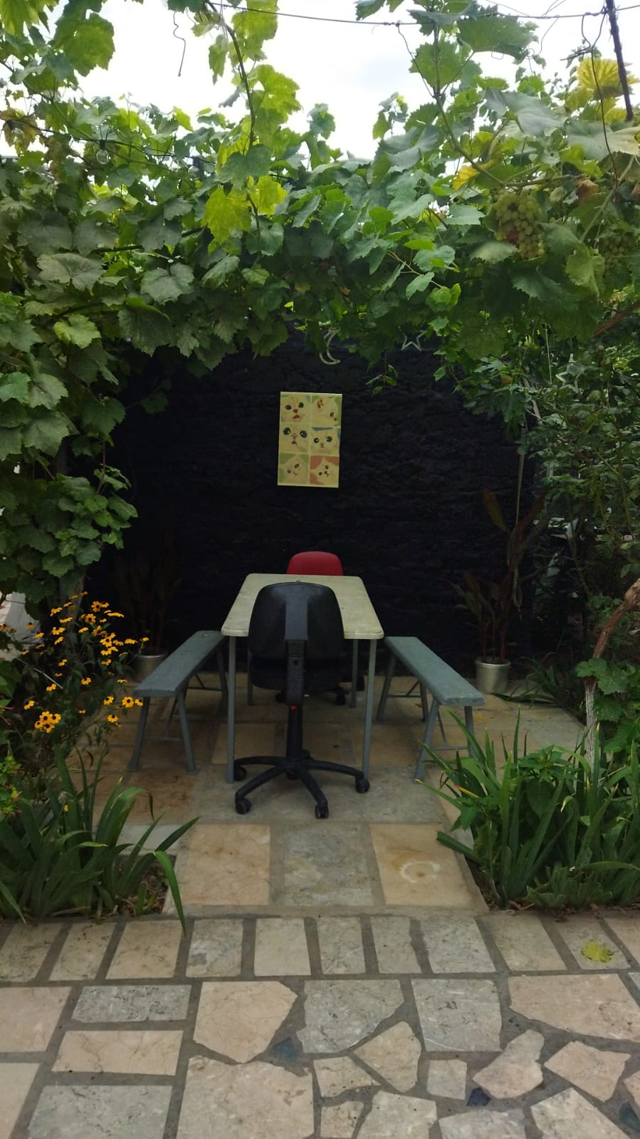 Бюджетный двухместный номер с 2 отдельными кроватями