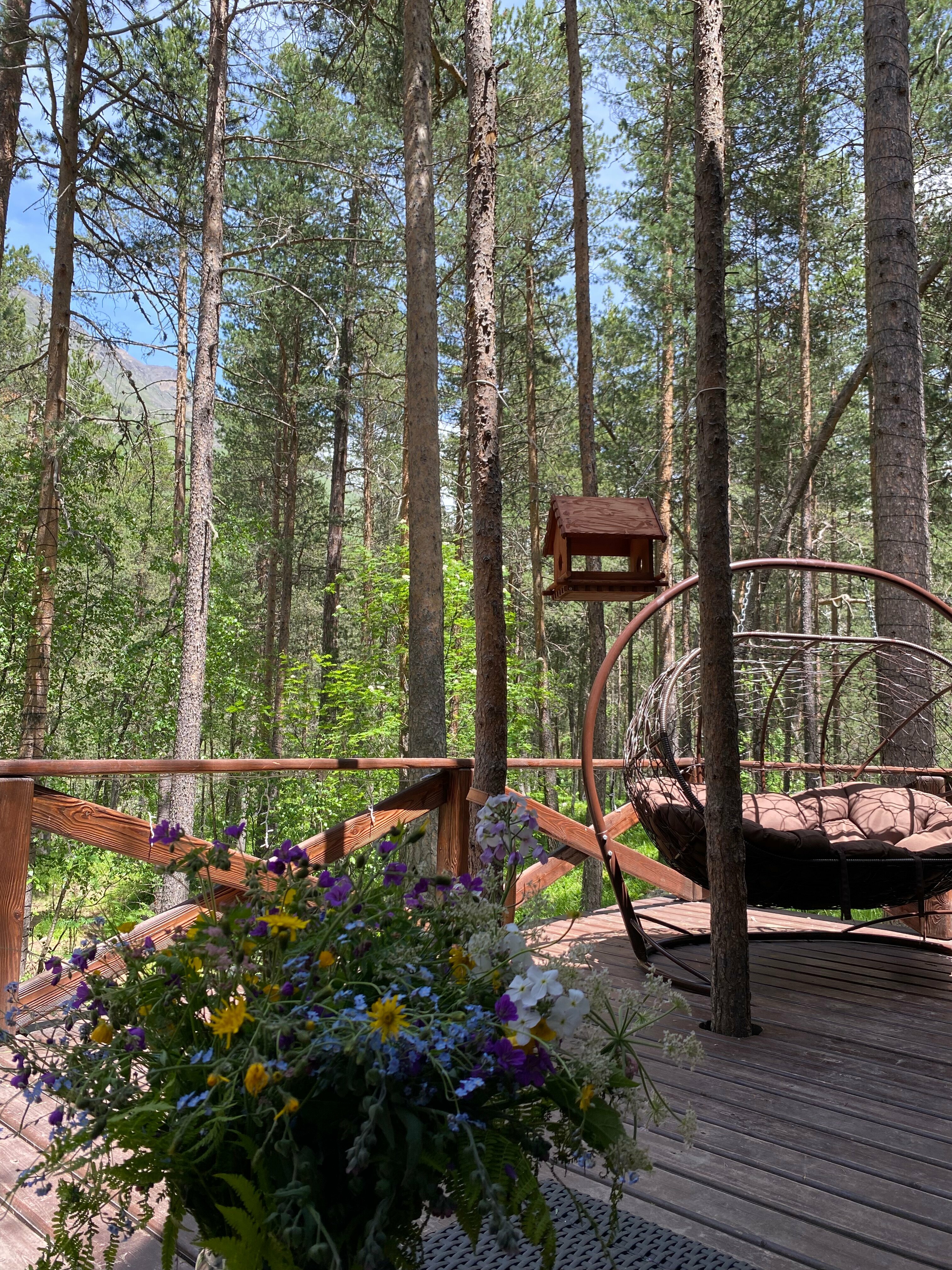 Семейный номер с террасой