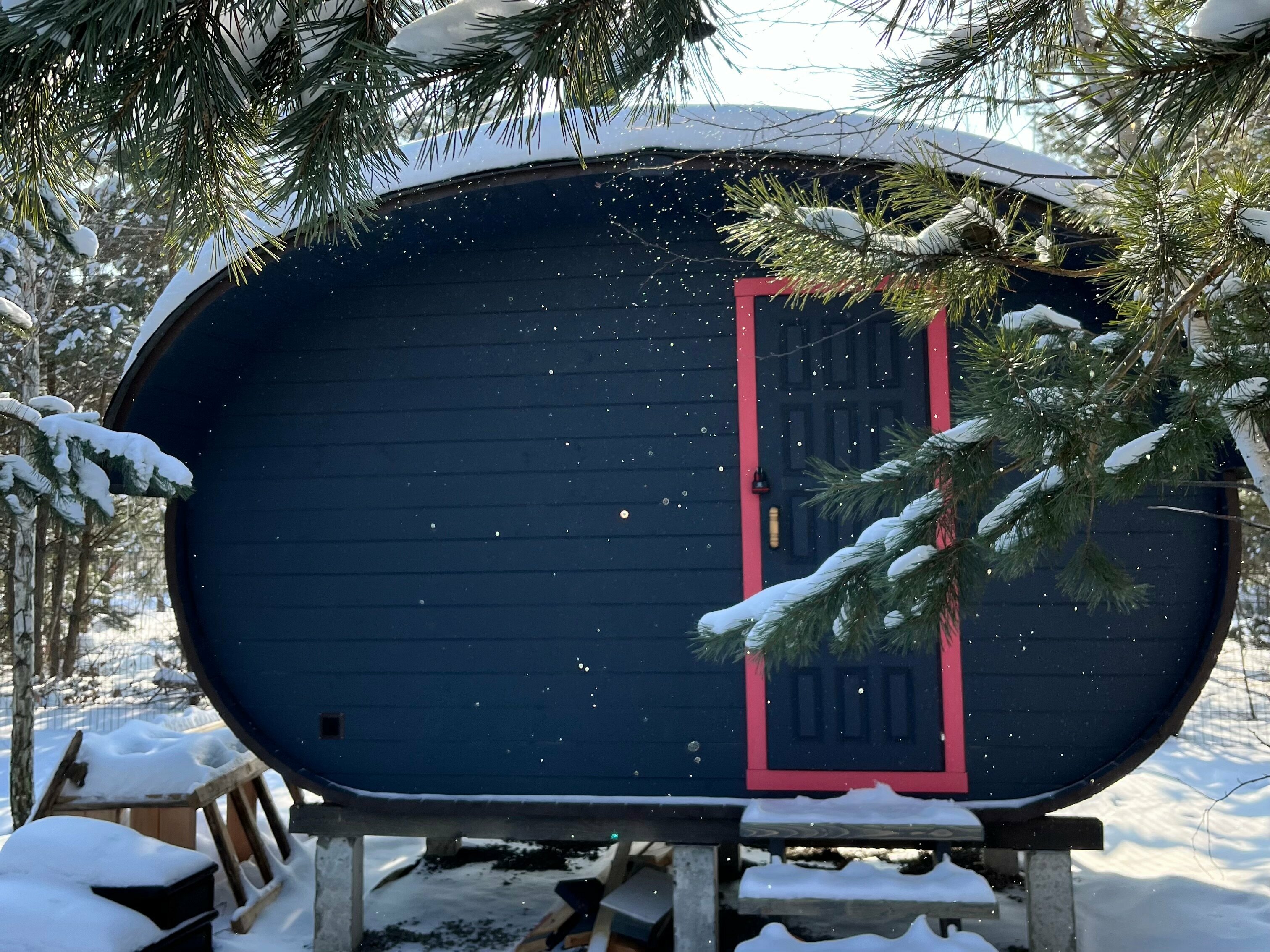 Дом с видом на лес