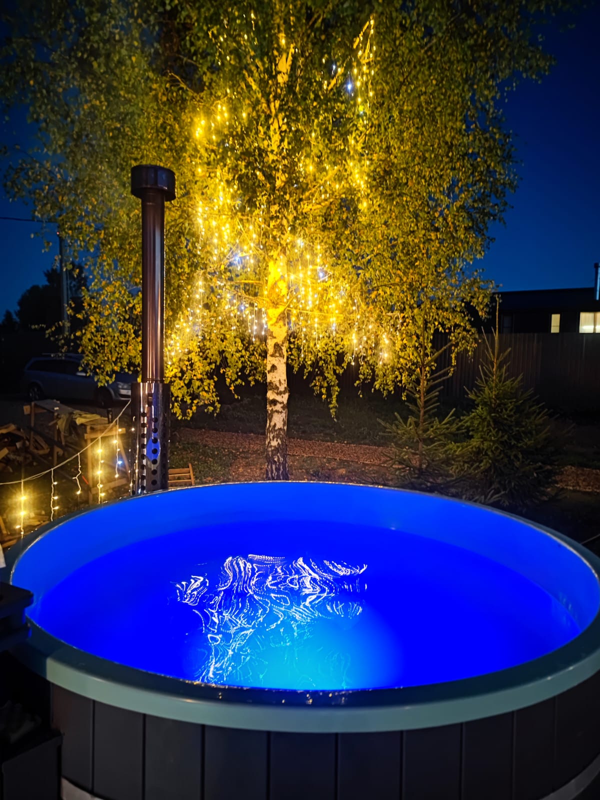 Дом с видом на лес