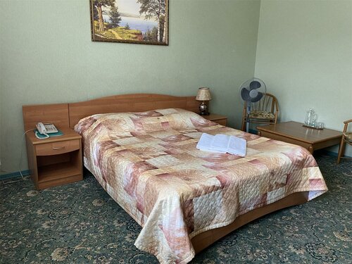 Номер стандарт с 1 двуспальной кроватью в Рояль
