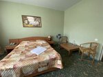 Номер стандарт с 1 двуспальной кроватью в Рояль