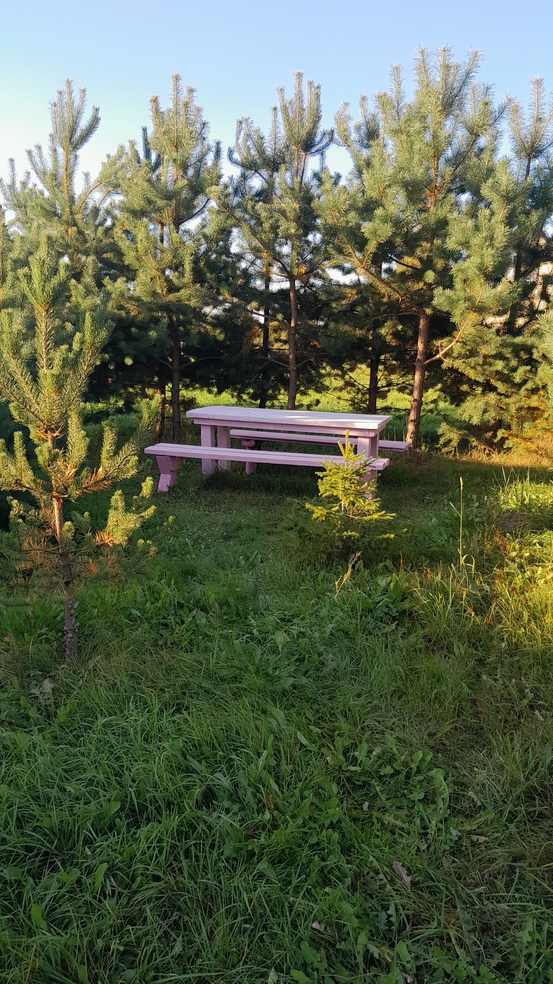 Четырехместный номер