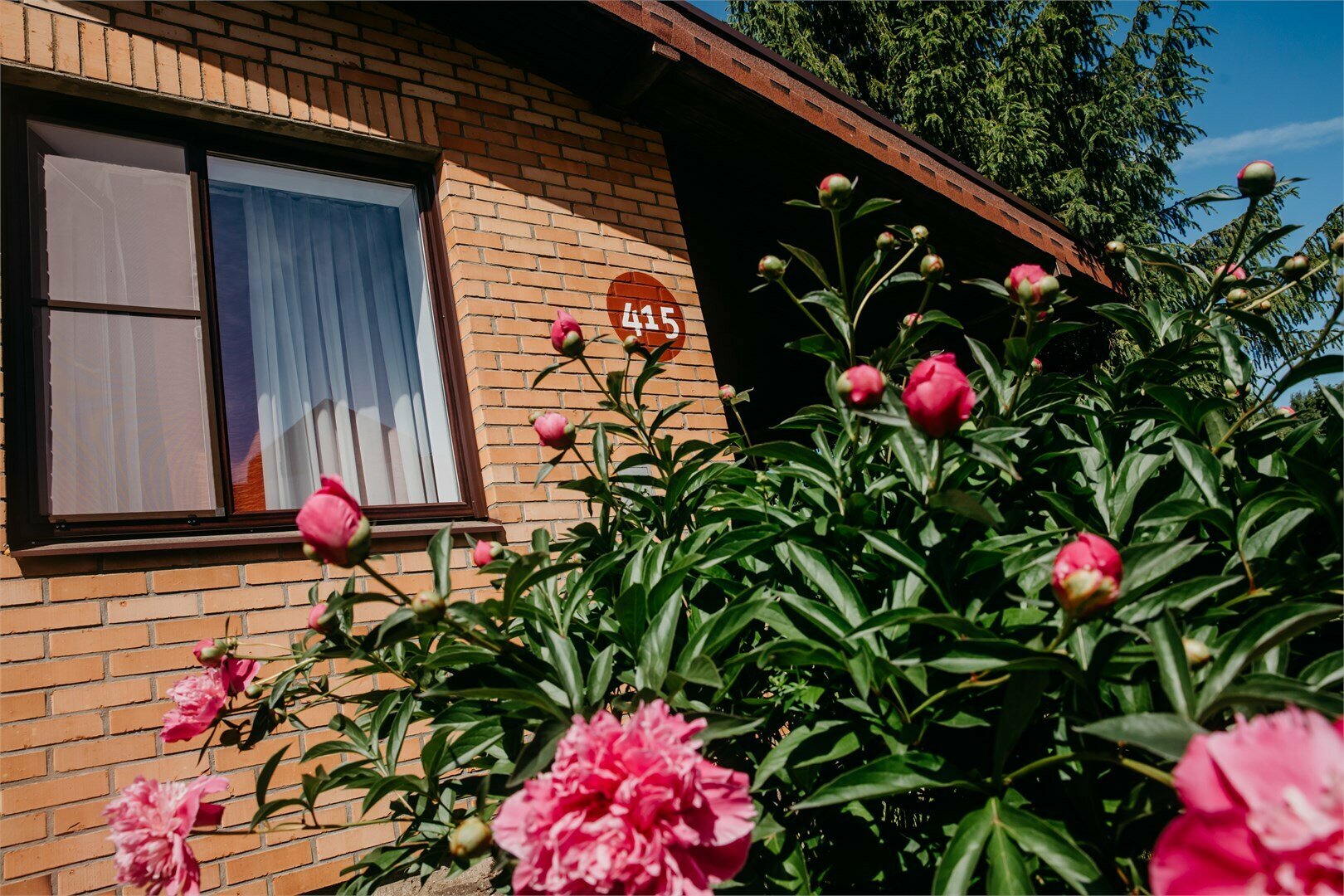 Коттедж СУСАНИН с сауной