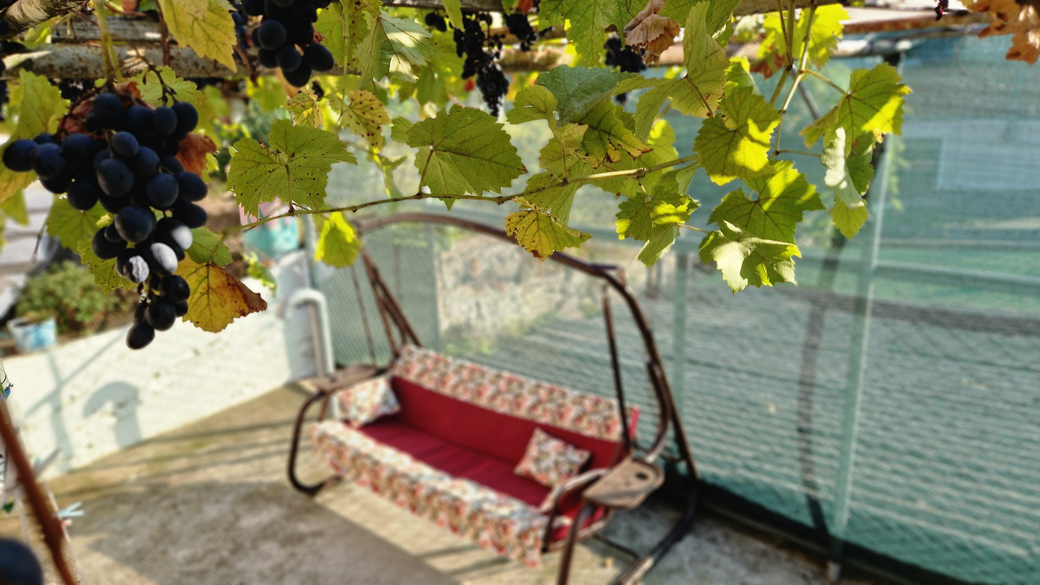 Двухместный номер с 2 отдельными кроватями и ванной