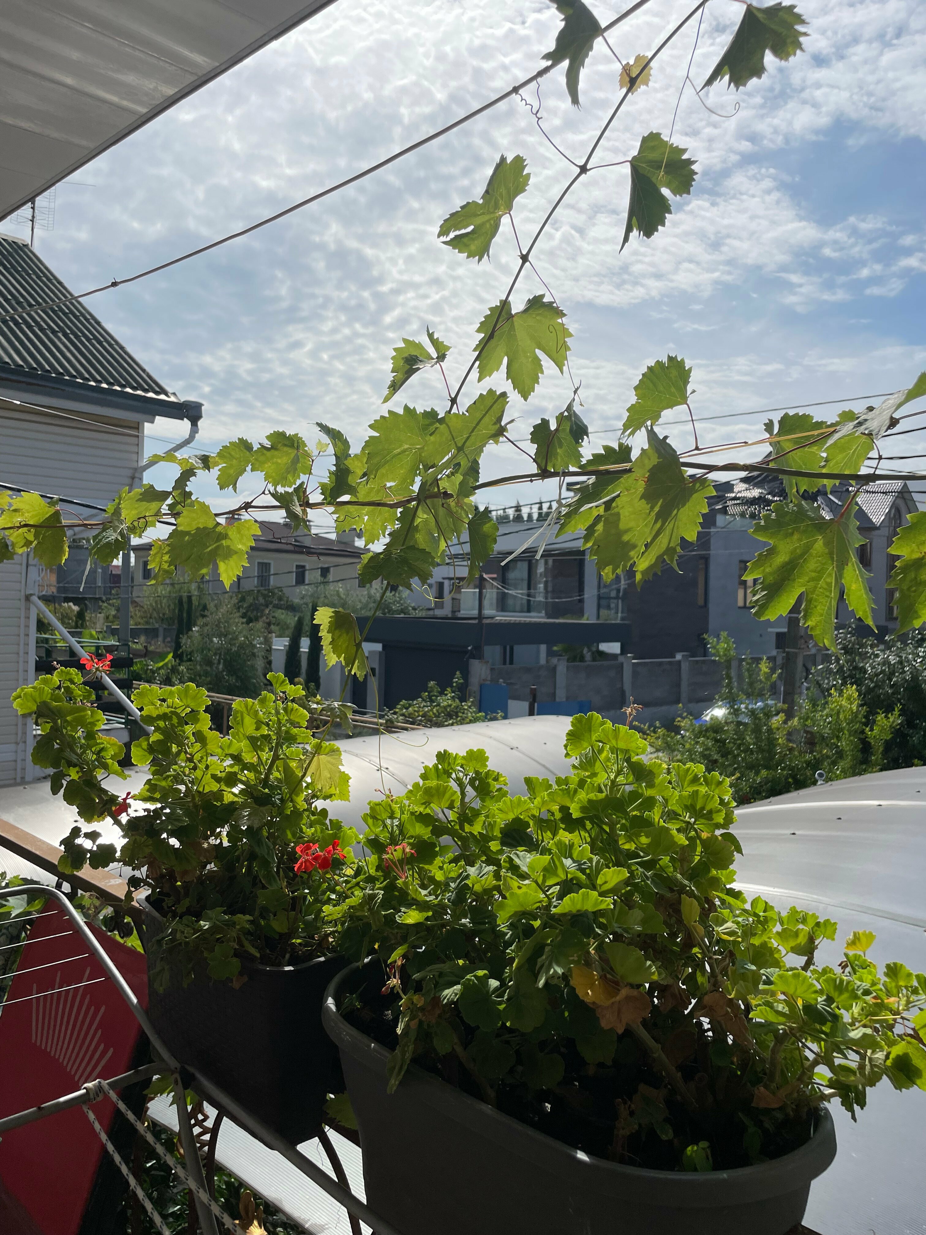 Семейный номер с балконом