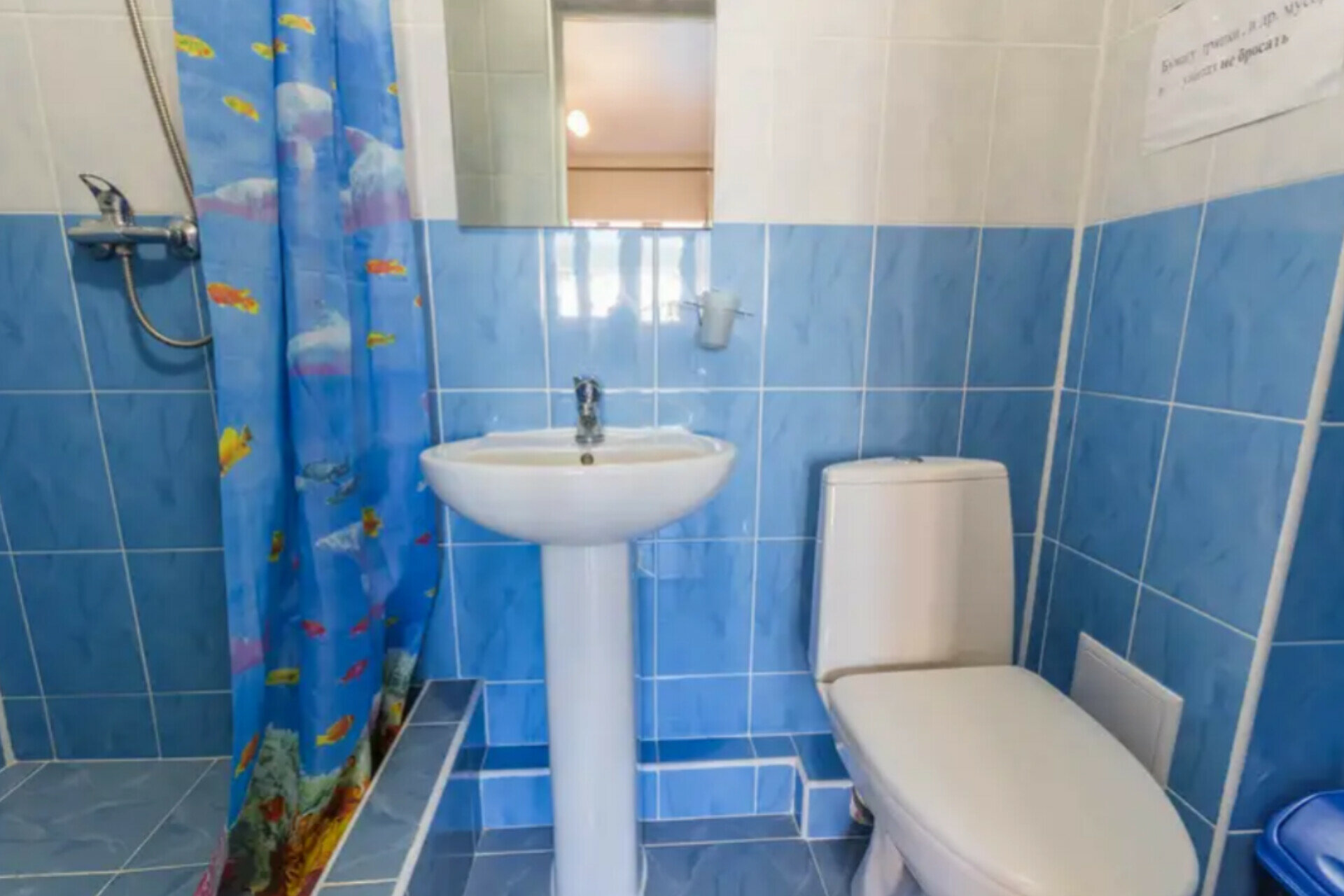 Двухместный номер с 1 кроватью и балконом