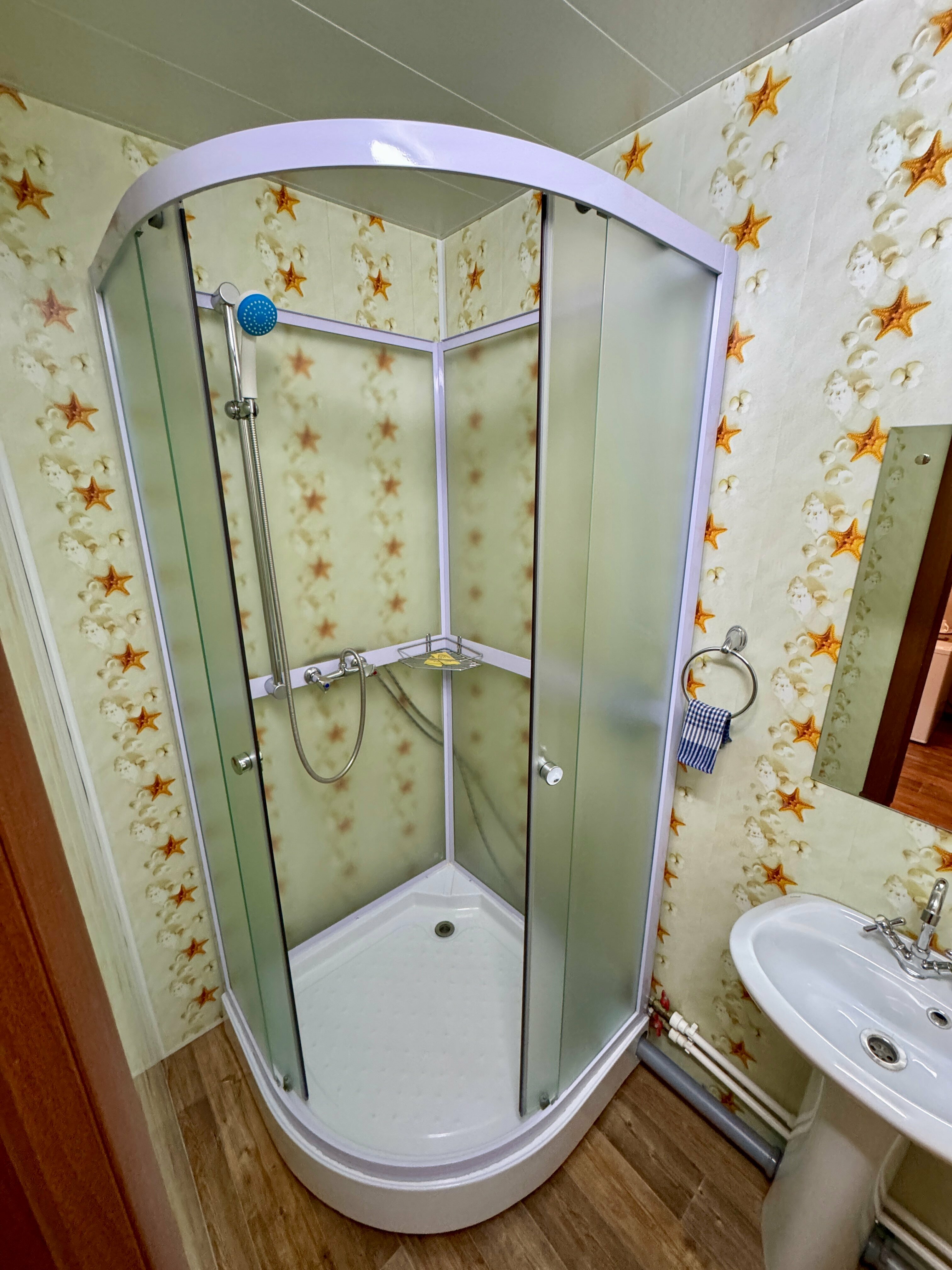 Двухместный с 1 кроватью или 2 отдельными кроватями и душем