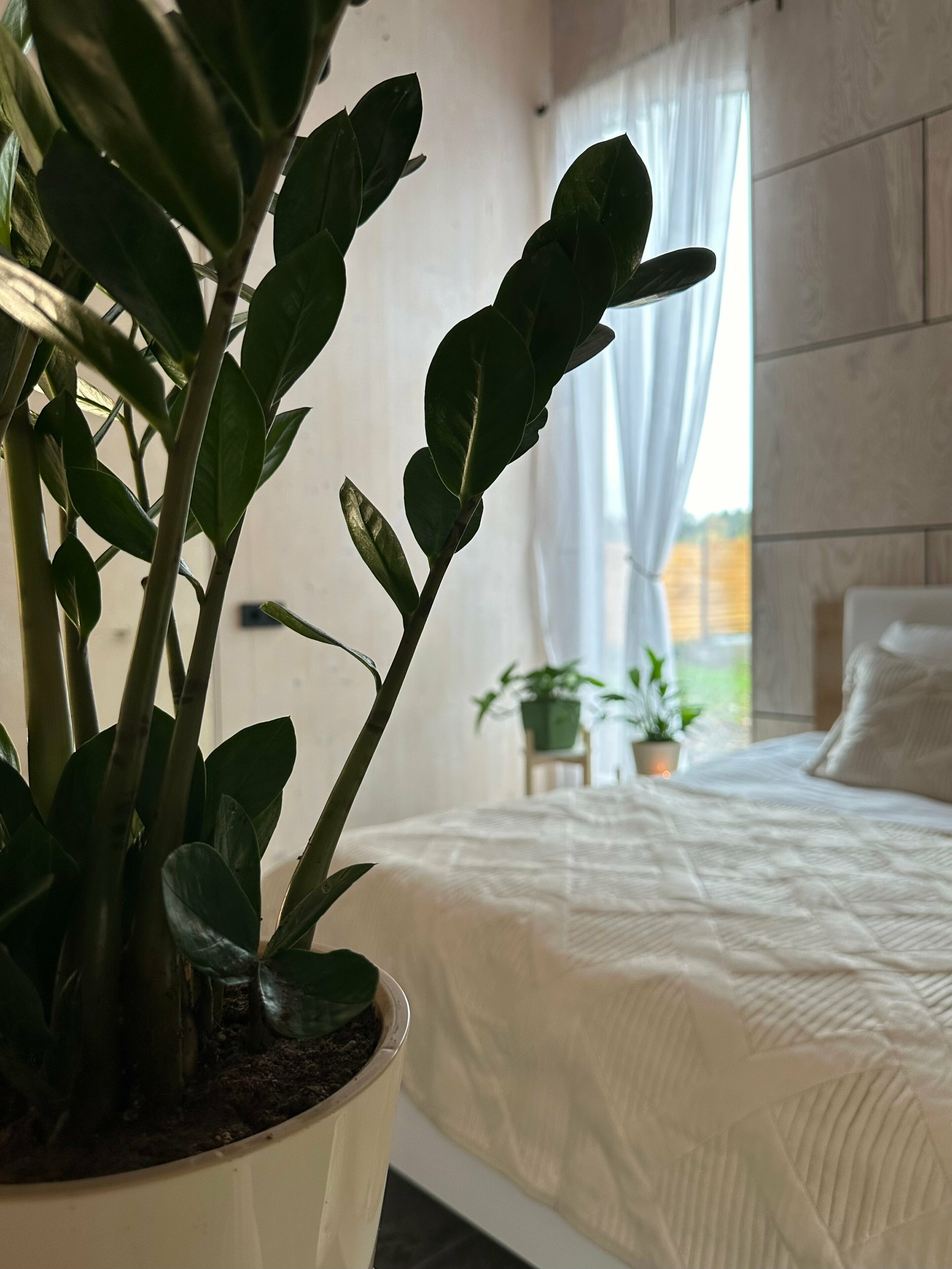 Дом для семейного отдыха