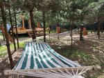 Уютный дом-шалаш в Кусочек рая в соснах