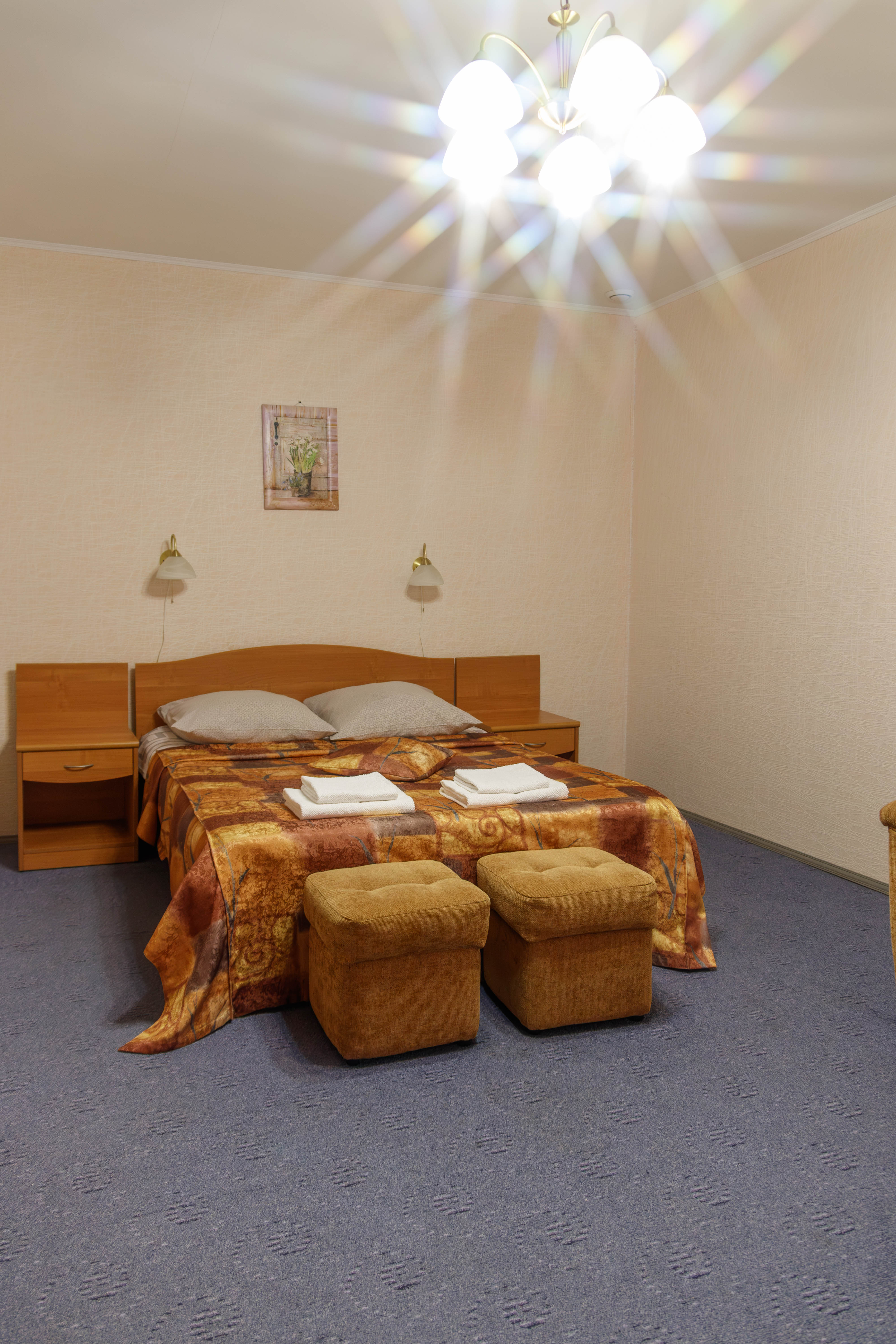 Двухместный номер Делюкс с 1 кроватью и душем